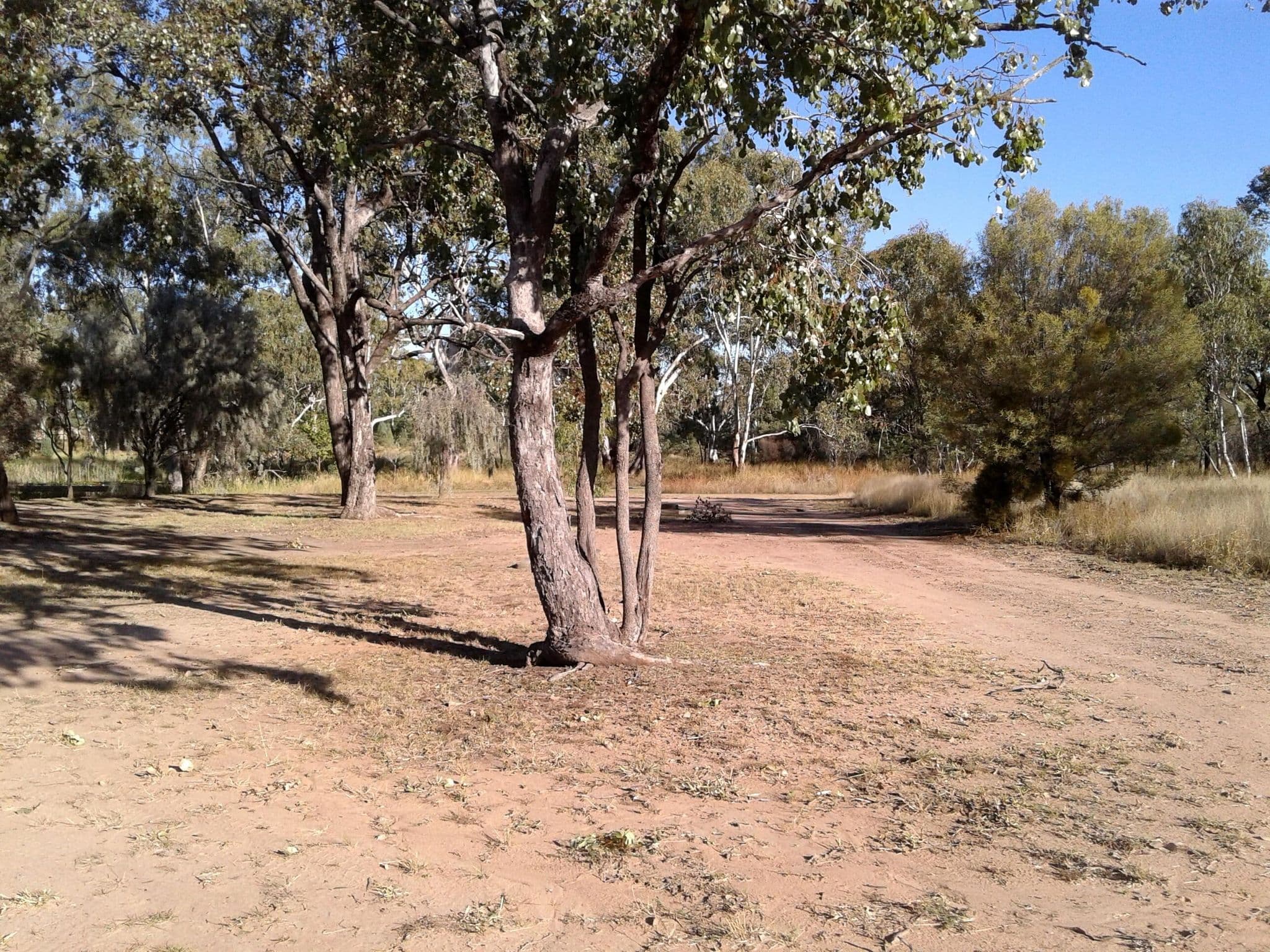 Street view near Chinamans Lagoon Rest Area, Miles — © bob3bob3 (CC BY-SA · Mapillary)
