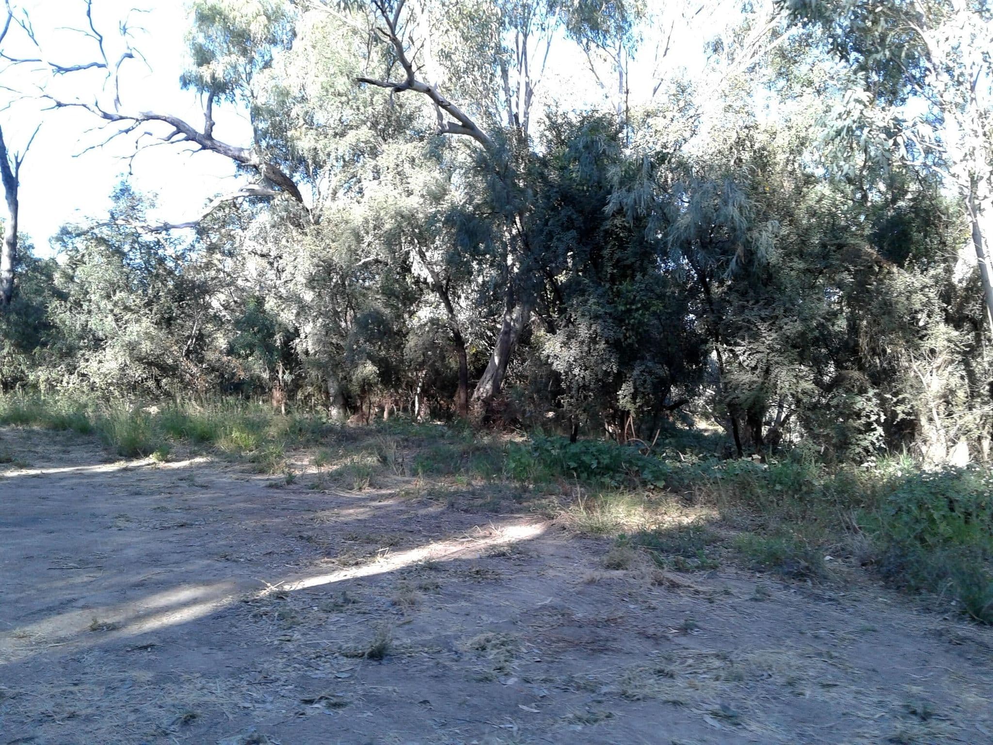 Street view near Pump Hole, Longreach — © bob3bob3 (CC BY-SA · Mapillary)
