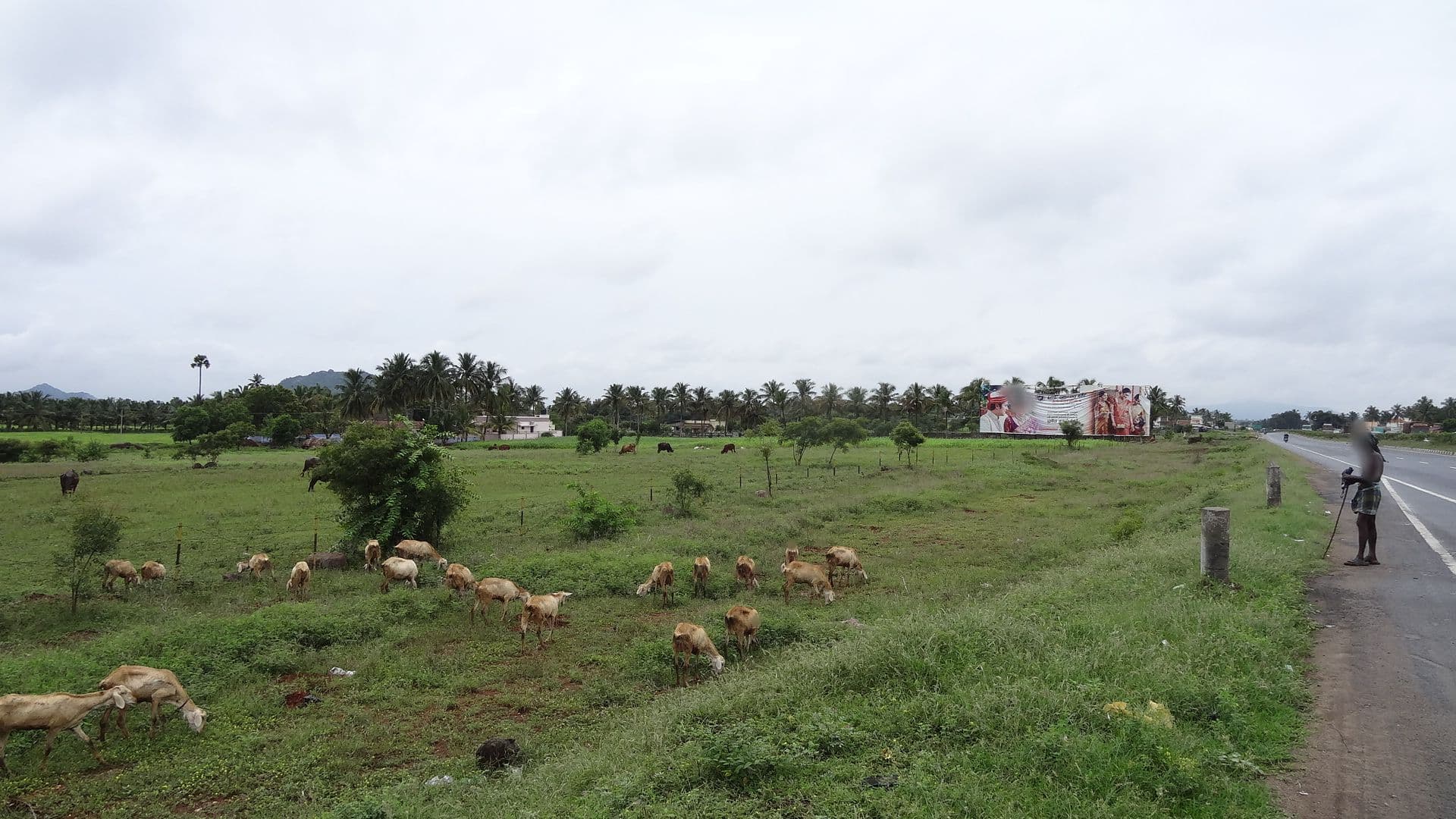 Street view near Rajeshwari Hotel, Chinnamudalippatti — © aloksharma (CC BY-SA · Mapillary)