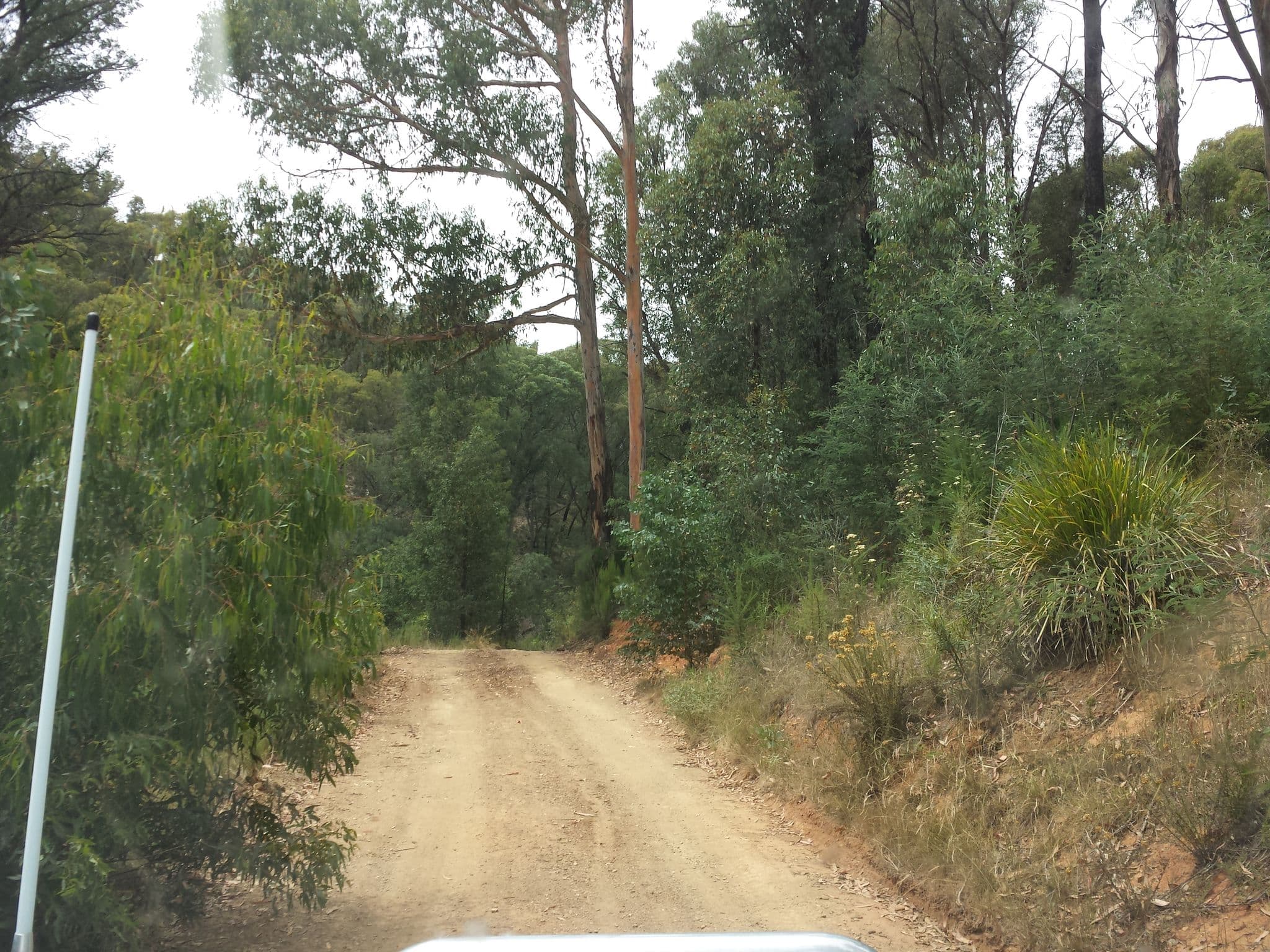 Street view near Store Point, Heyfield — © stev391 (CC BY-SA · Mapillary)