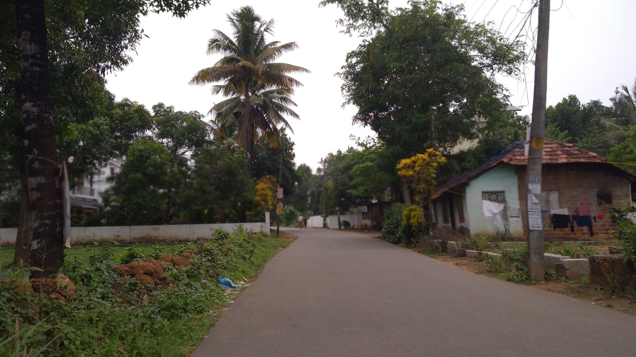 Street view near Silverstone inn, Nedumbassery — © jothishbabu (CC BY-SA · Mapillary)