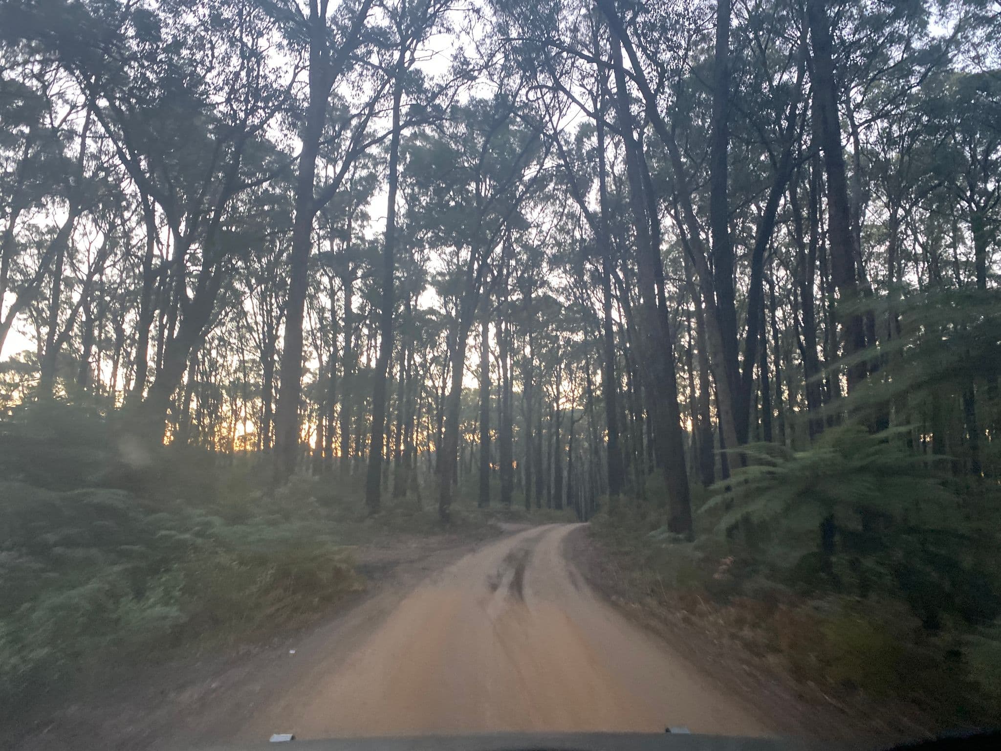 Street view near Two Hill, Kinglake — © hakk (CC BY-SA · Mapillary)