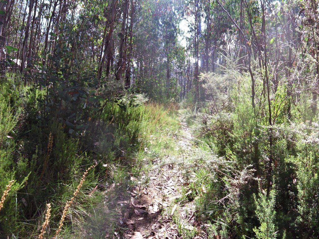 Street view near Keppels Hut, Alexandra — © mander (CC BY-SA · Mapillary)