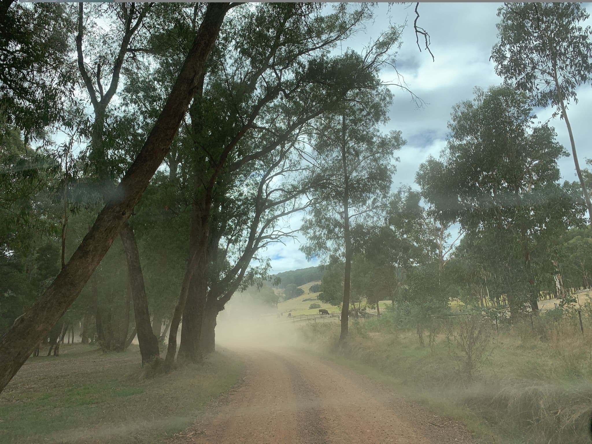 Street view near Buttercup Two Camping Area, Mount Buller