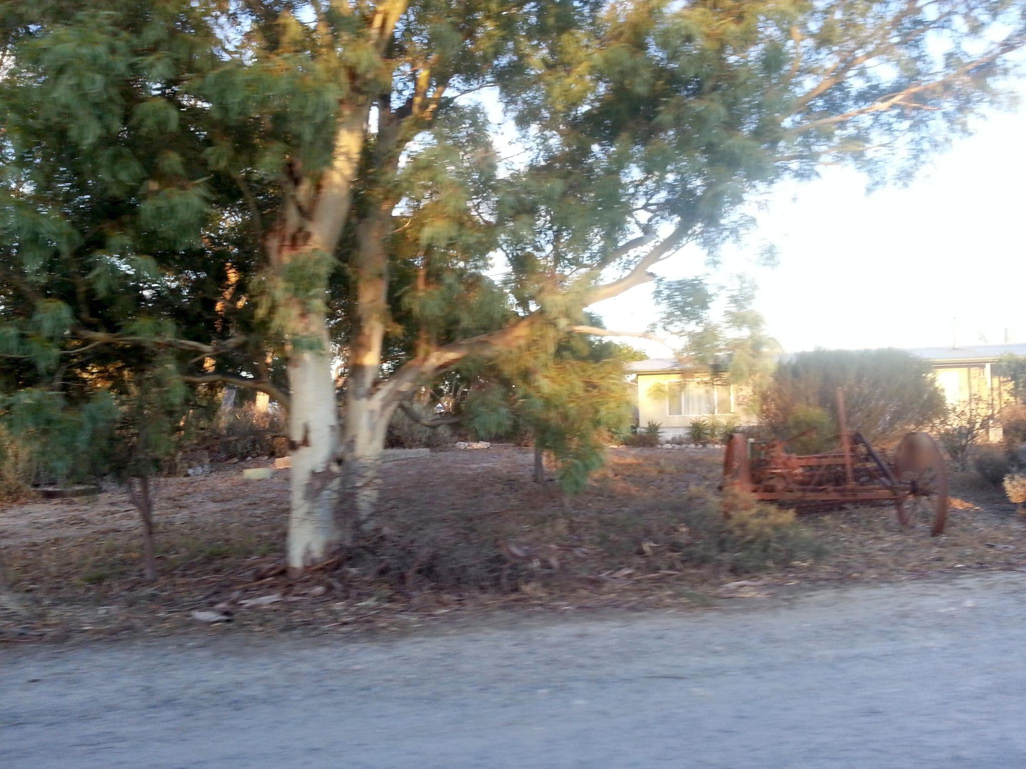 Street view near Boomerang Motel, Tumby Bay — © bob3bob3 (CC BY-SA · Mapillary)