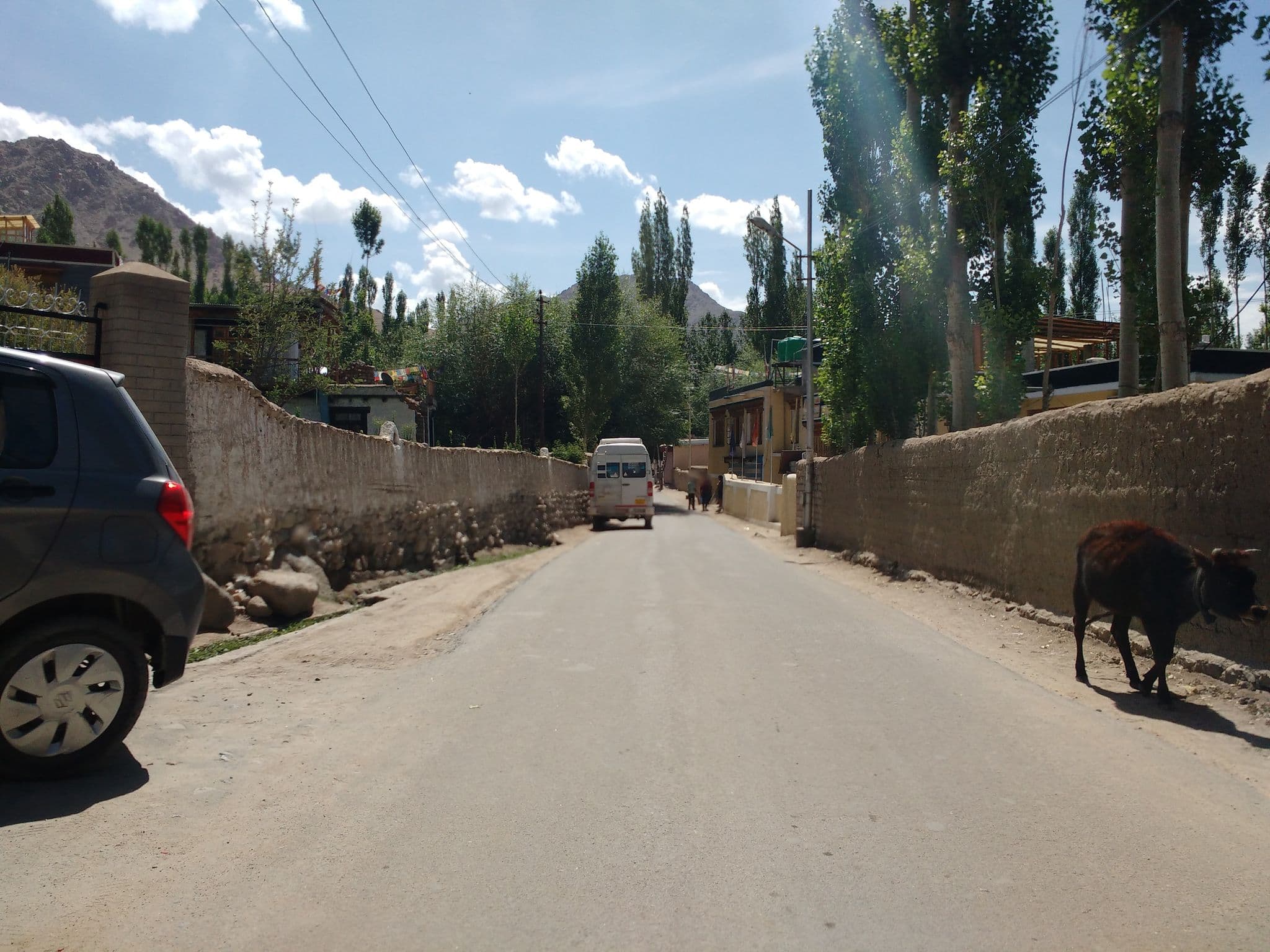 Street view near Snow lion, Leh