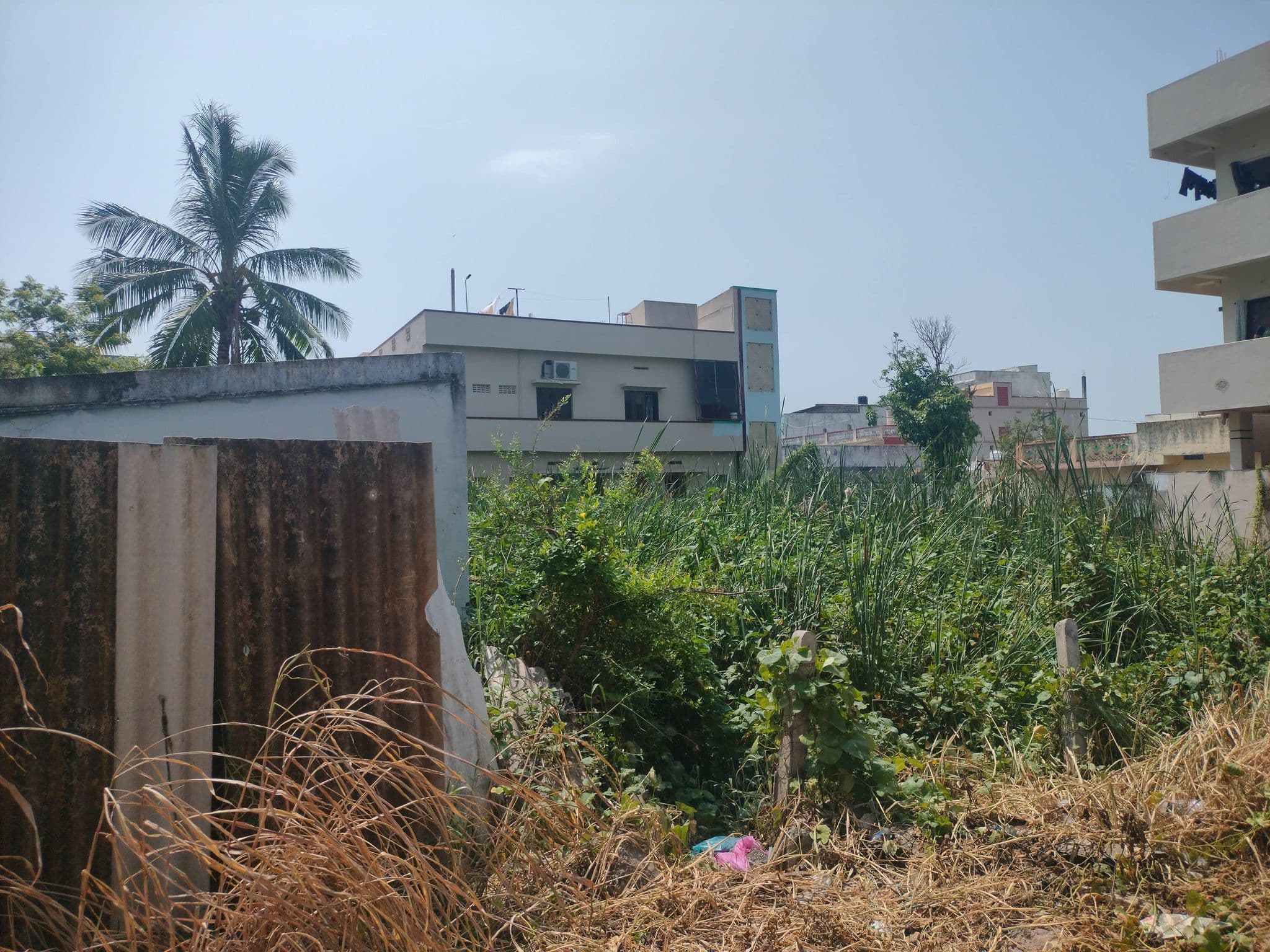 Street view near Redcidency, Kānūru — © koduru_Dedeepya_131536 (CC BY-SA · Mapillary)