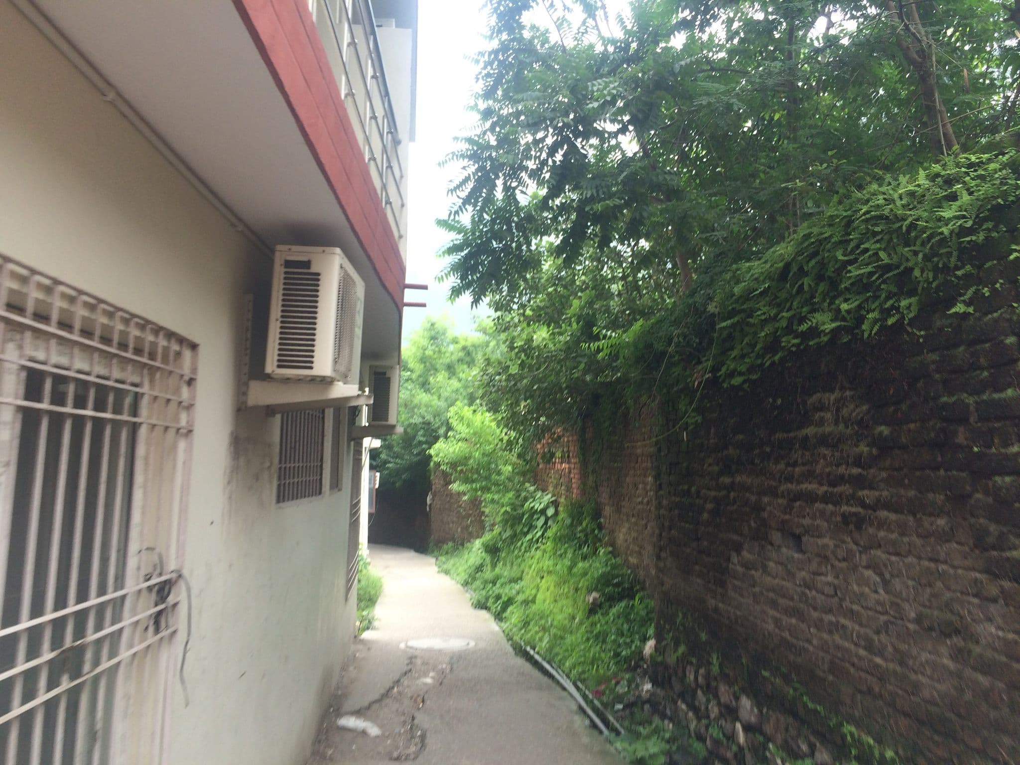 Street view near W.inn, Rishīkesh — © shailajashah (CC BY-SA · Mapillary)