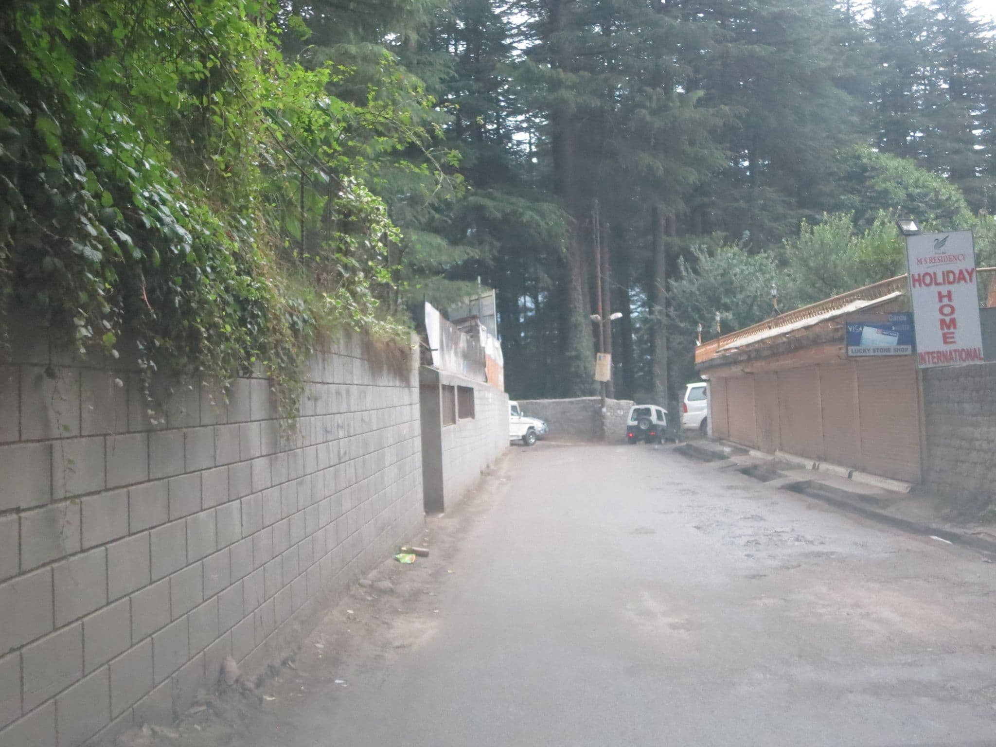 Street view near Mayflower Hotel, Kulu