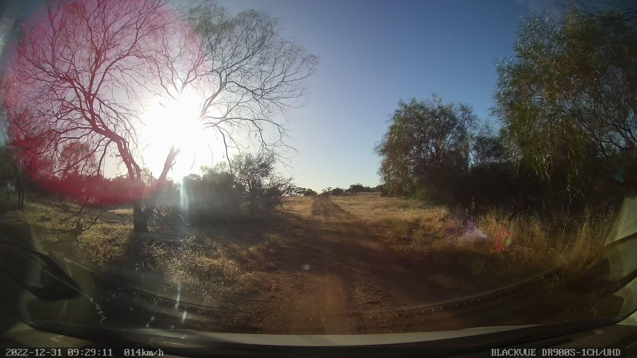 Street view near Waddouring Dam, Merredin — © bob3bob3 (CC BY-SA · Mapillary)
