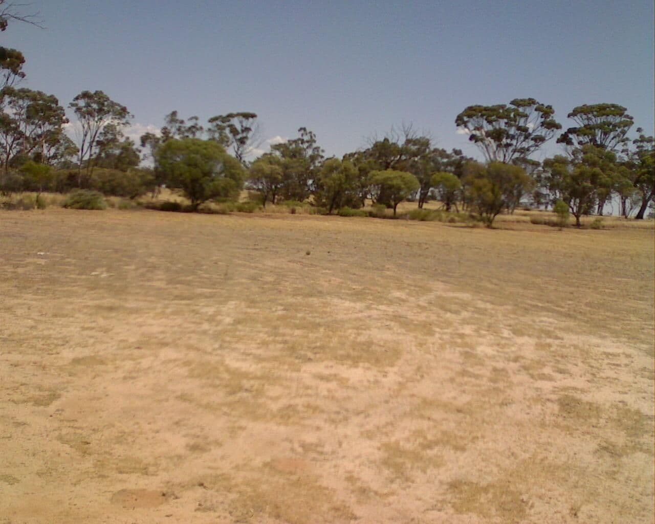 Street view near Wamenusking Sports Club Inc., Narrogin — © bob3bob3 (CC BY-SA · Mapillary)