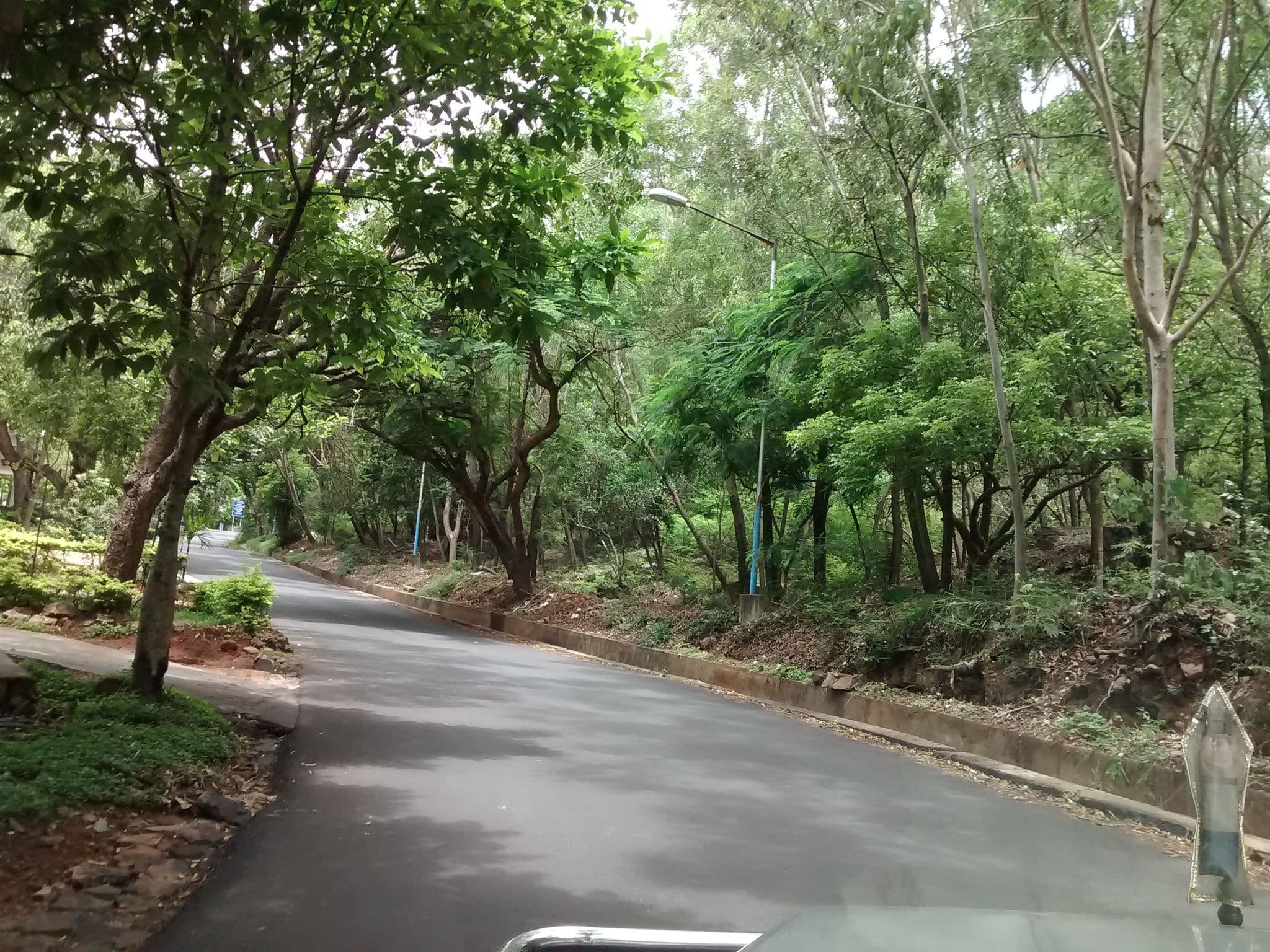 Street view near Vijay Mallya Guest House, Tirumala — © chethan (CC BY-SA · Mapillary)