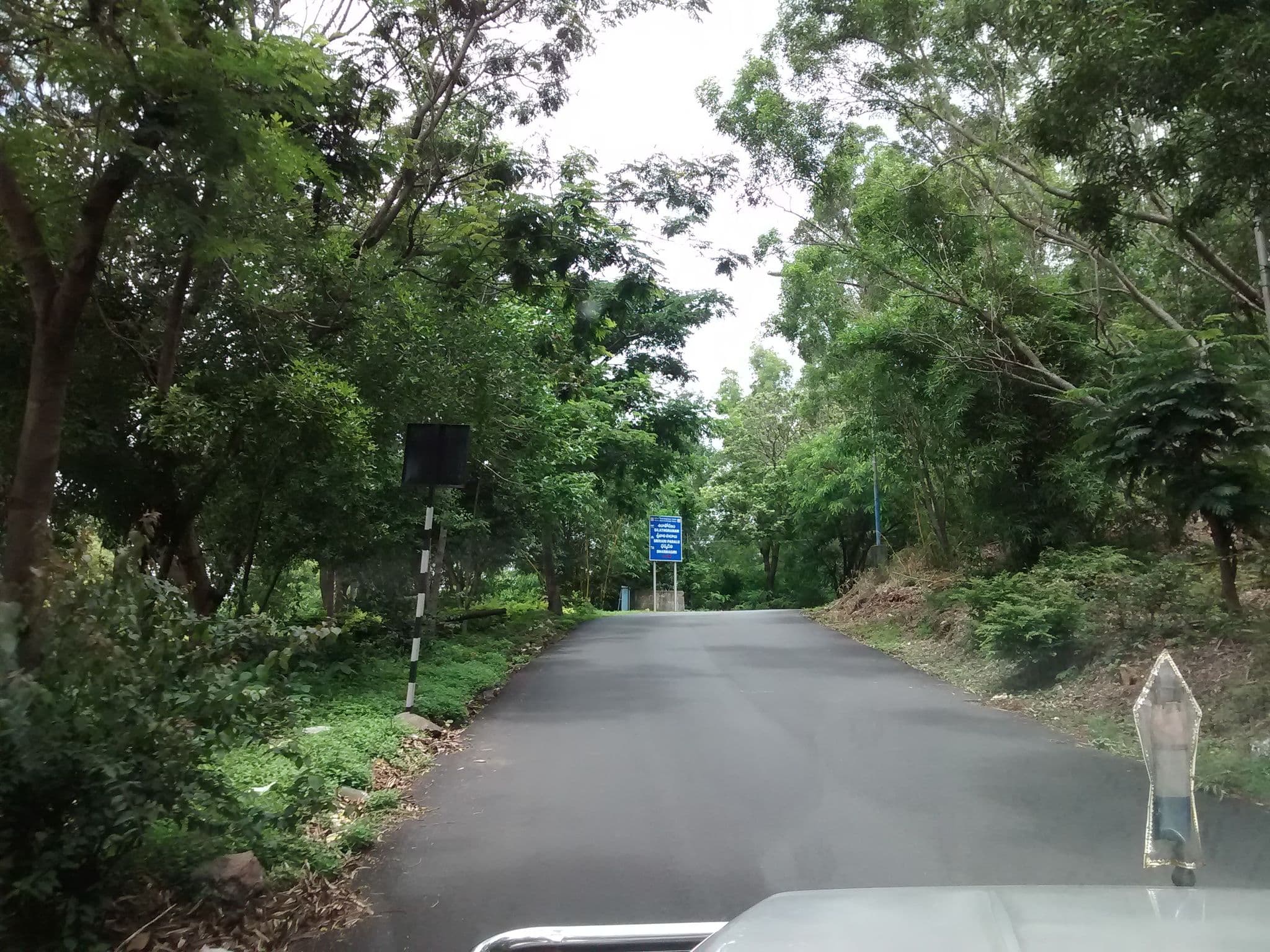 Street view near Sri Thoranam, Tirumala — © chethan (CC BY-SA · Mapillary)