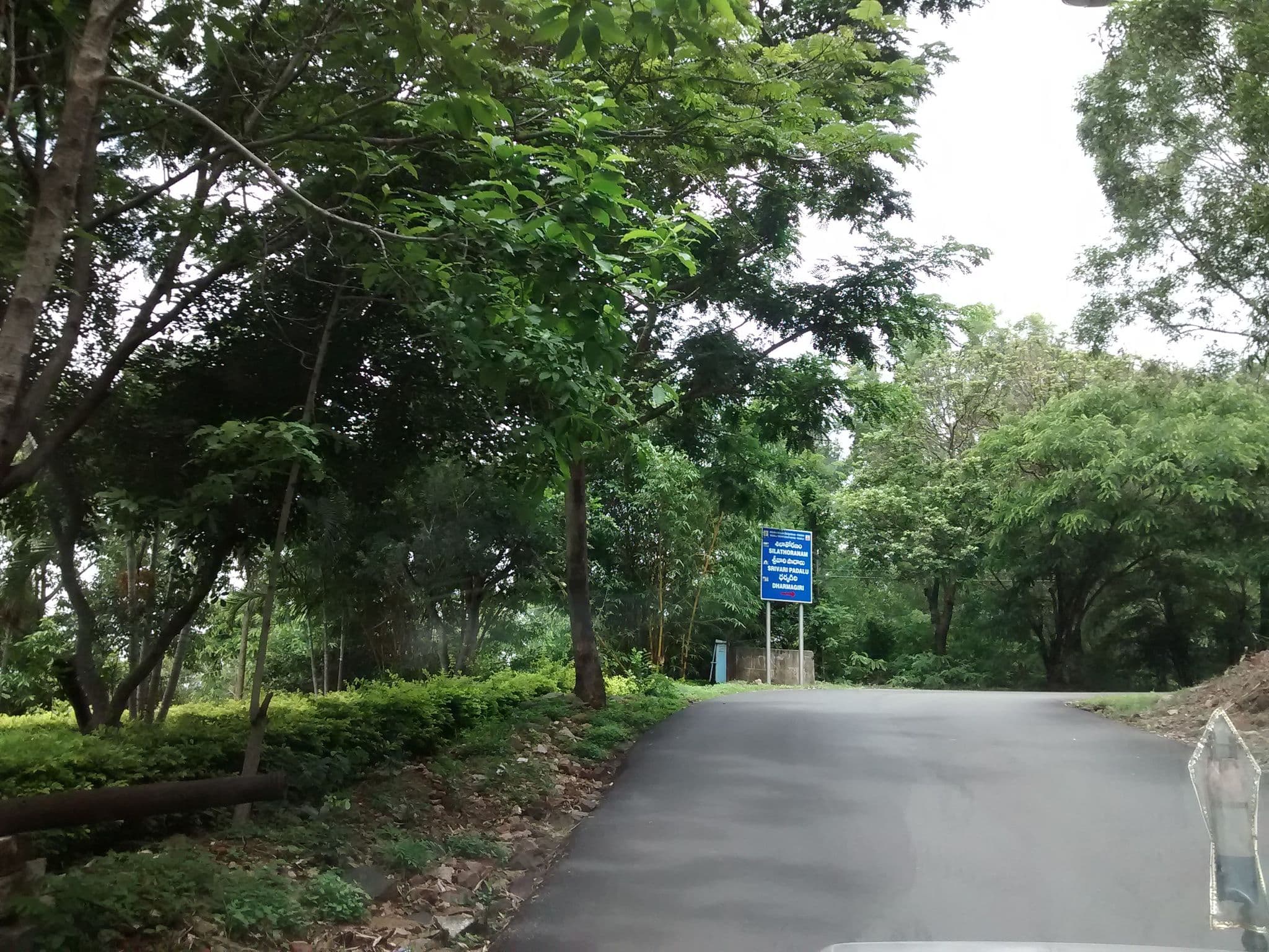 Street view near Venkata Vijayam, Tirumala — © chethan (CC BY-SA · Mapillary)