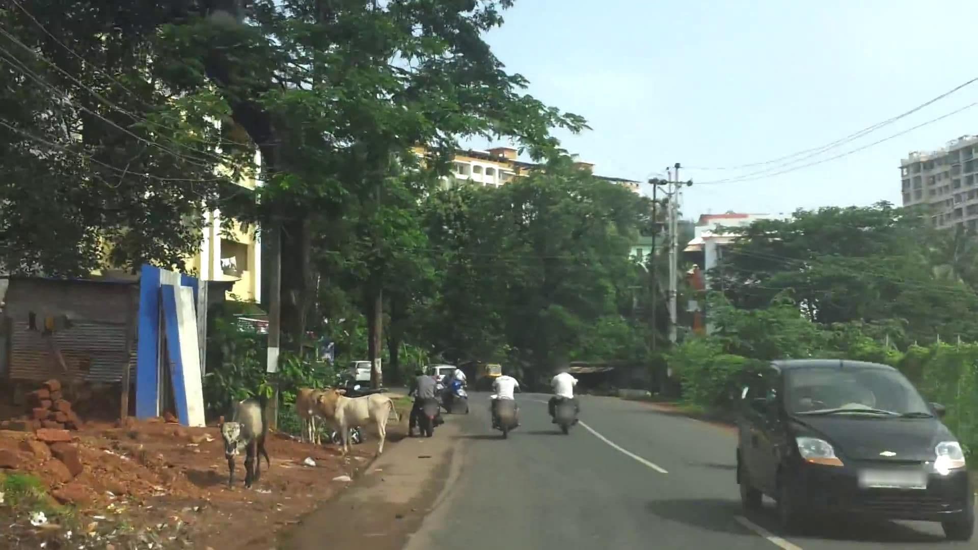 Street view near Hotel Vasco, Vasco da Gama — © cut (CC BY-SA · Mapillary)