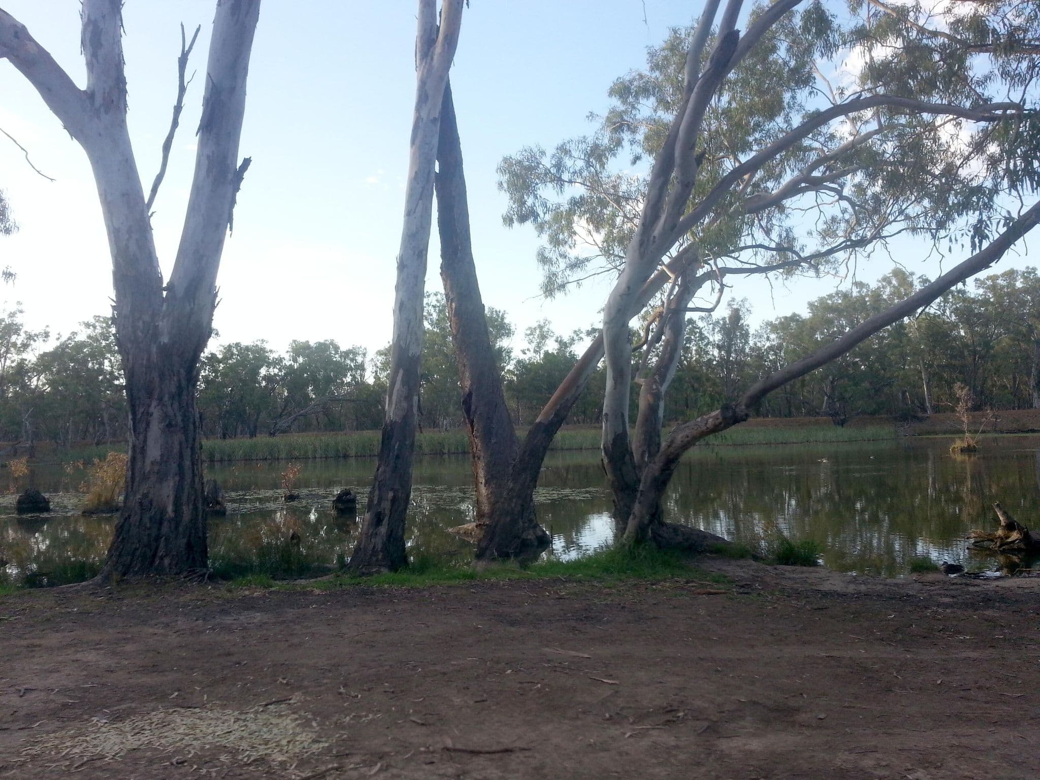Street view near Rocky Waterholes, Narrandera — © bob3bob3 (CC BY-SA · Mapillary)