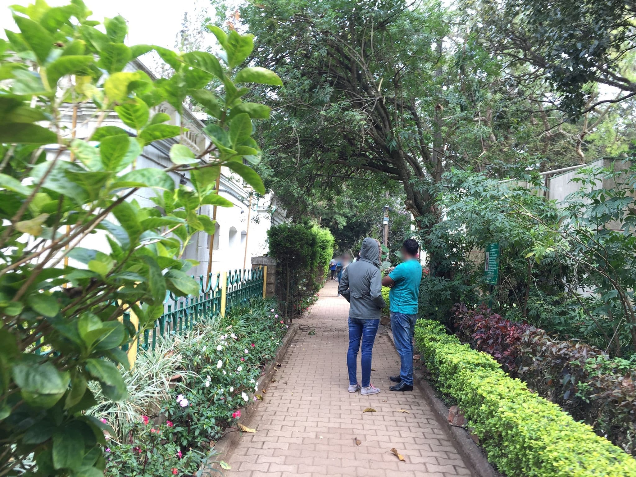 Street view near Nehru Nilaya, Chik Ballāpur — © richlv (CC BY-SA · Mapillary)