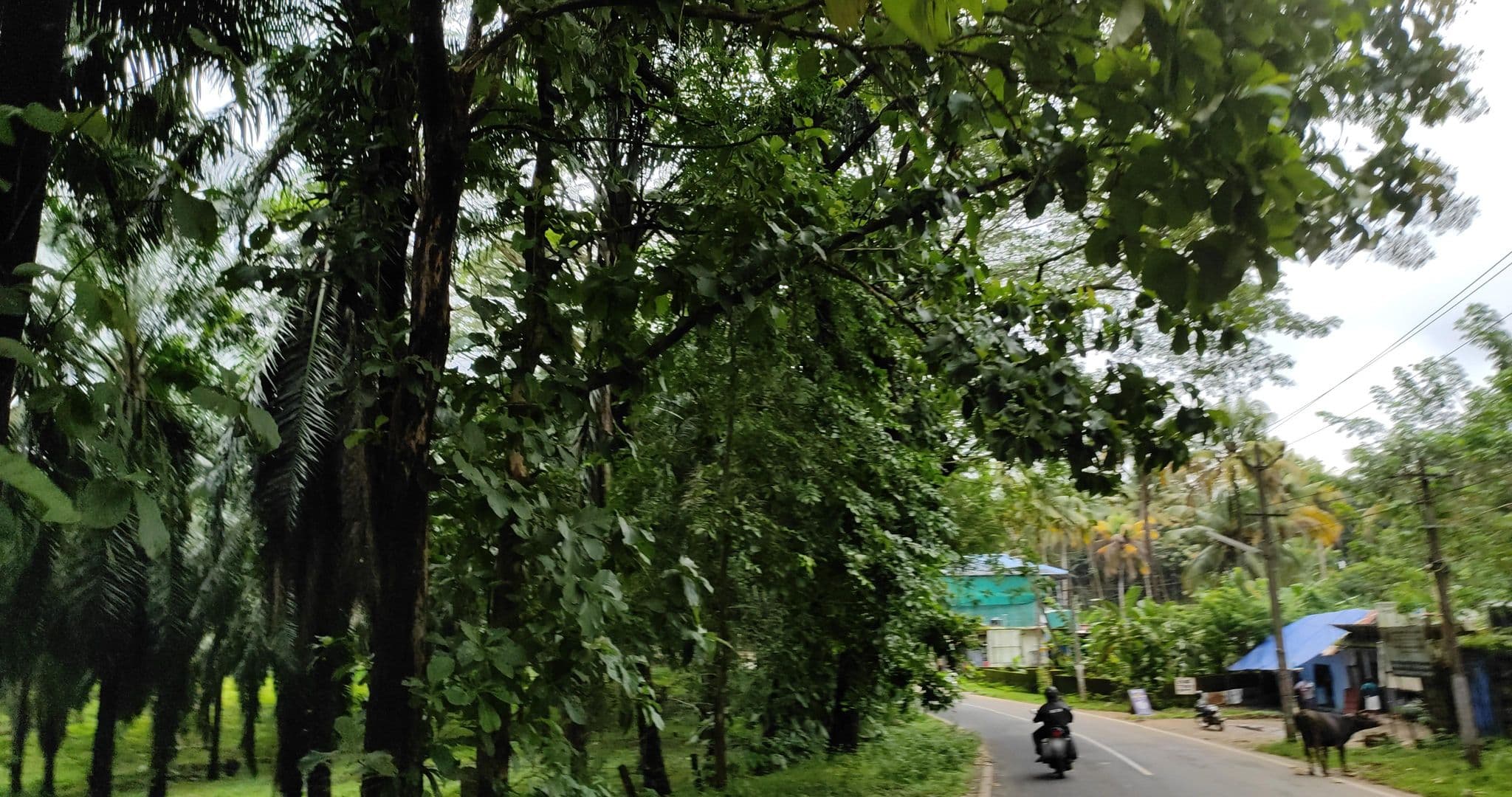 Street view near Hydel Palace, Martūru — © V15 (CC BY-SA · Mapillary)