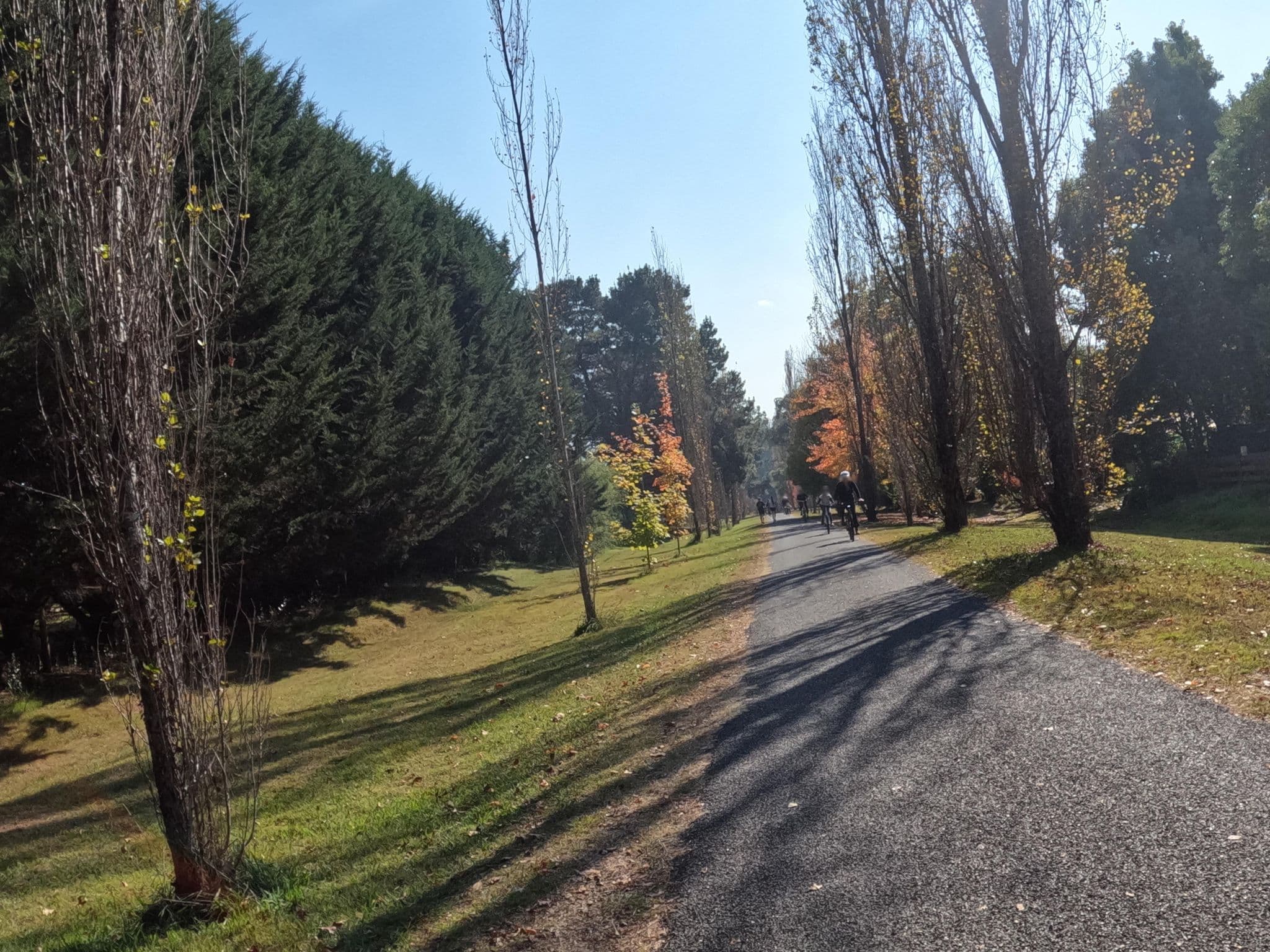 Street view near Adina Lodge Holiday Units, Bright — © skillsy (CC BY-SA · Mapillary)