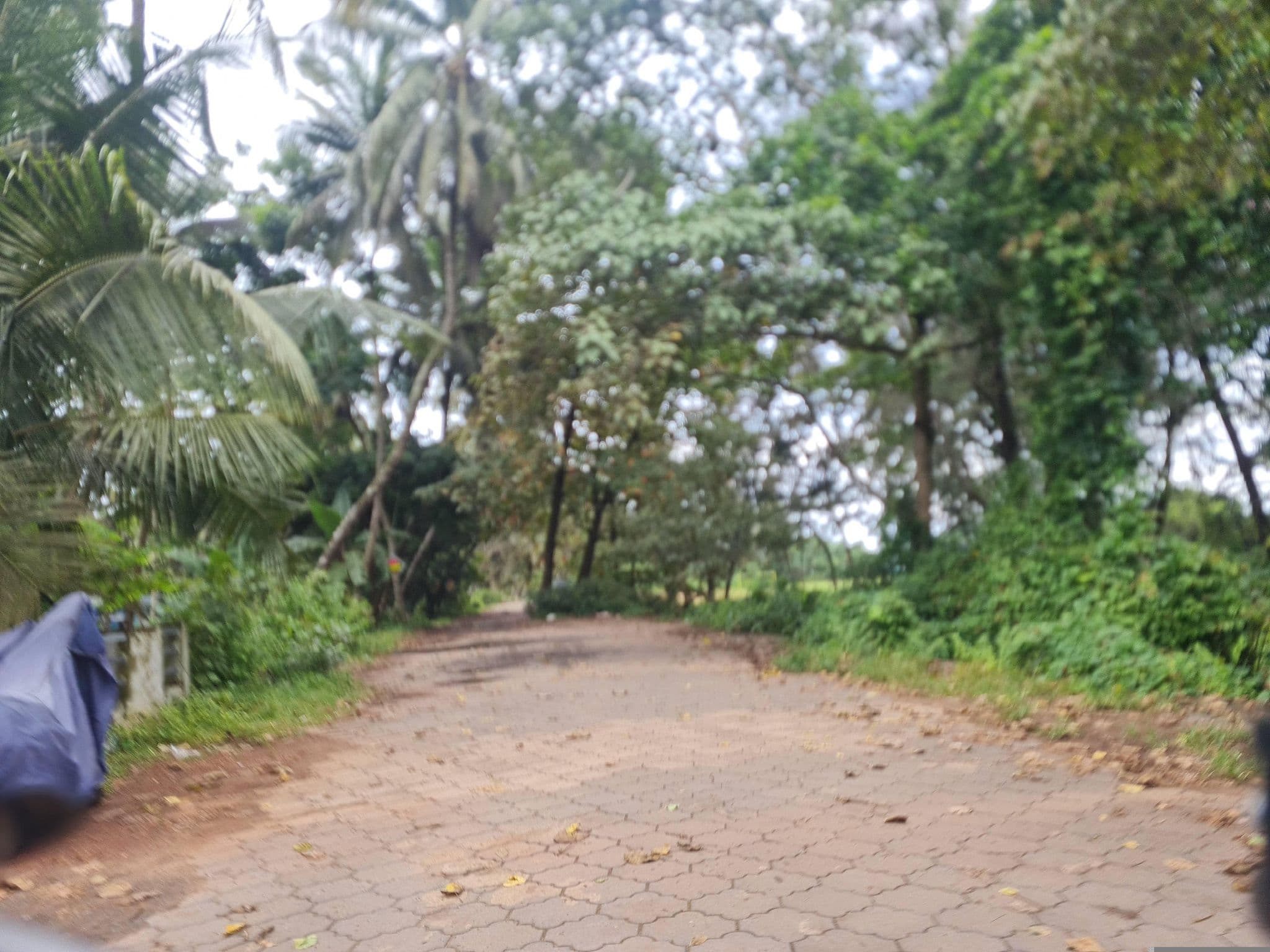 Street view near Shanthitheeram Lodge, Dharmadam — © dinshkm (CC BY-SA · Mapillary)