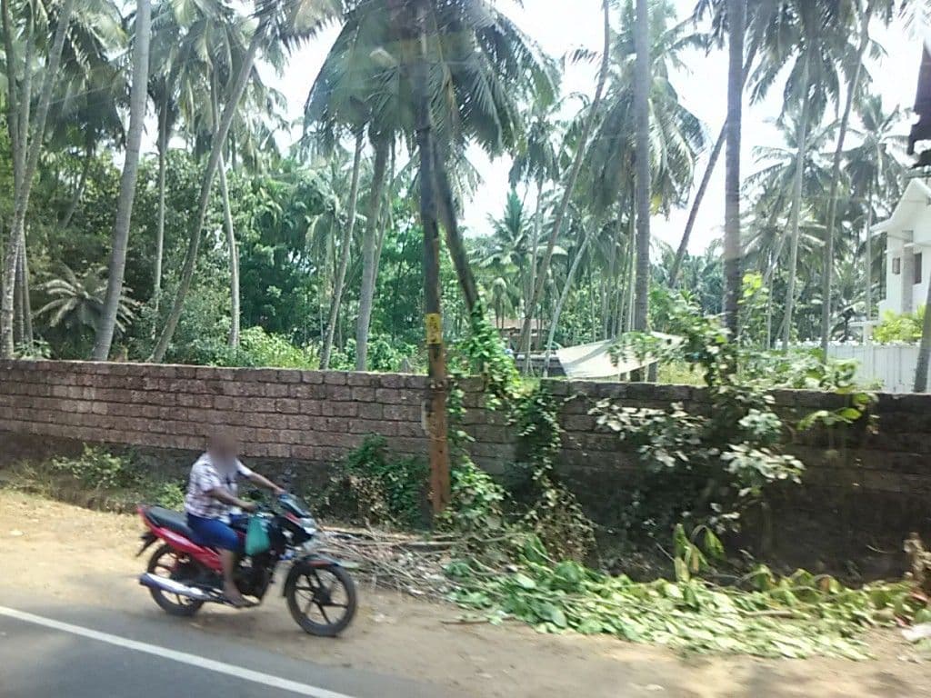Street view near Zaika, Talakkolattur — © sunish (CC BY-SA · Mapillary)