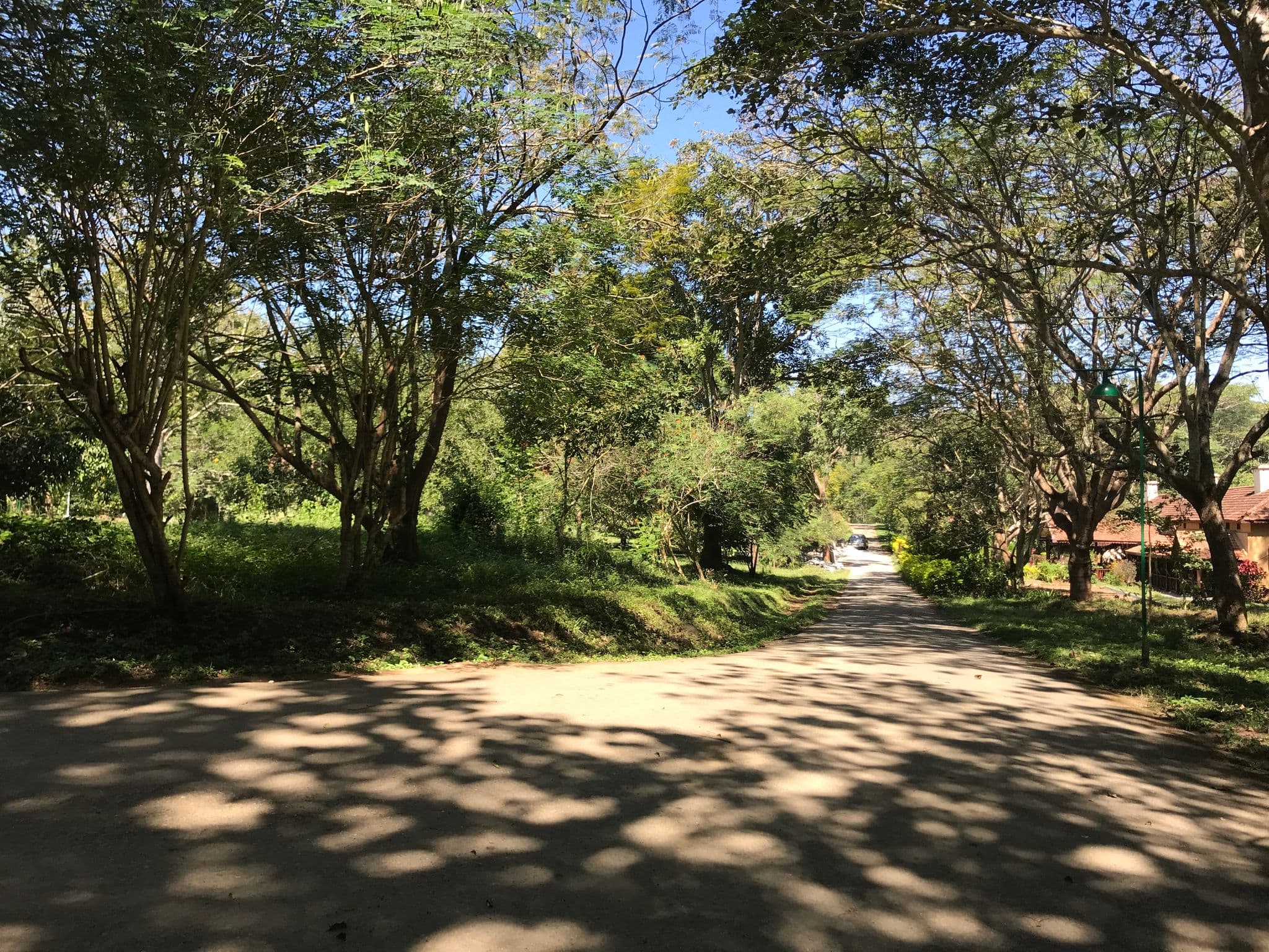 Street view near Kabini River Lodge, Sargūr — © miguel_andrade (CC BY-SA · Mapillary)