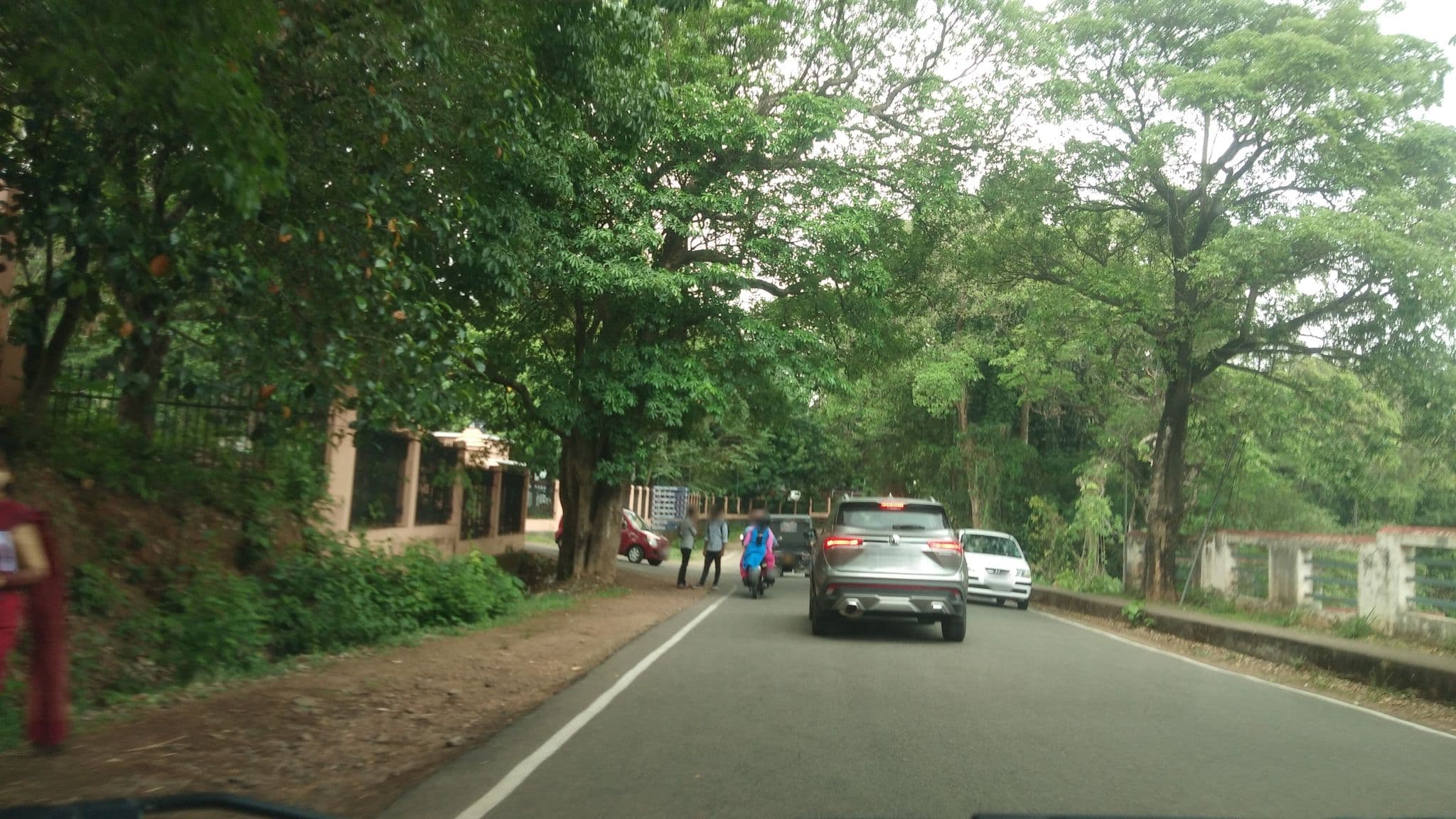 Street view near CUSAT Guest House, Kalamassery — © V15 (CC BY-SA · Mapillary)