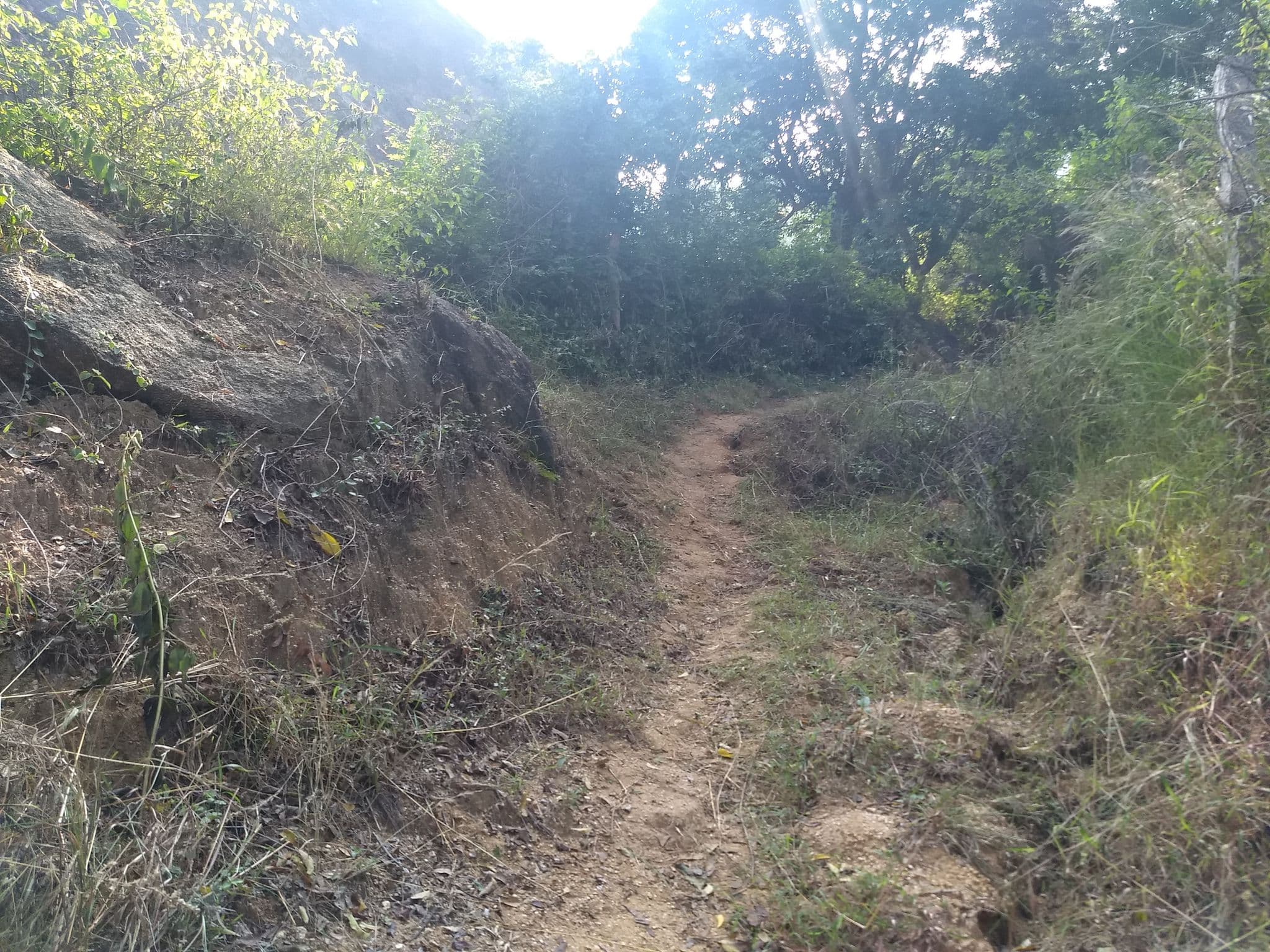 Street view near The Nomad's Camps, Tumkūr — © srividya (CC BY-SA · Mapillary)