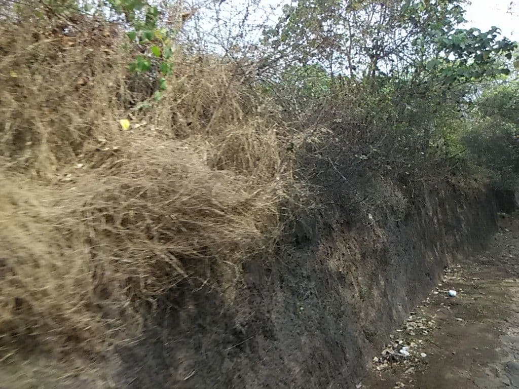 Street view near Mens Hostel 5, Kuttikkāttūr — © sunish (CC BY-SA · Mapillary)
