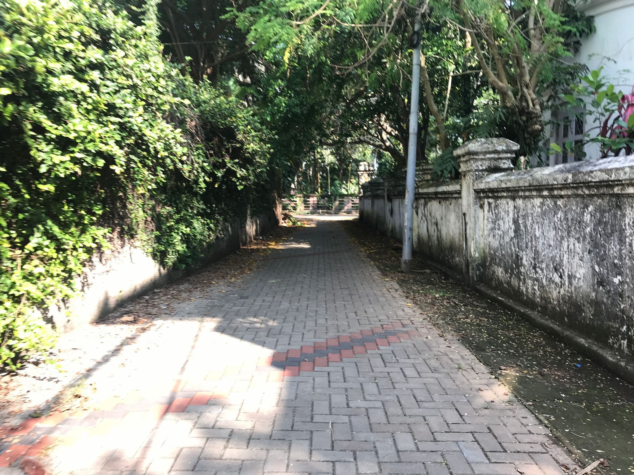 Street view near Anna Stays, Vypīn — © livableurbanism (CC BY-SA · Mapillary)