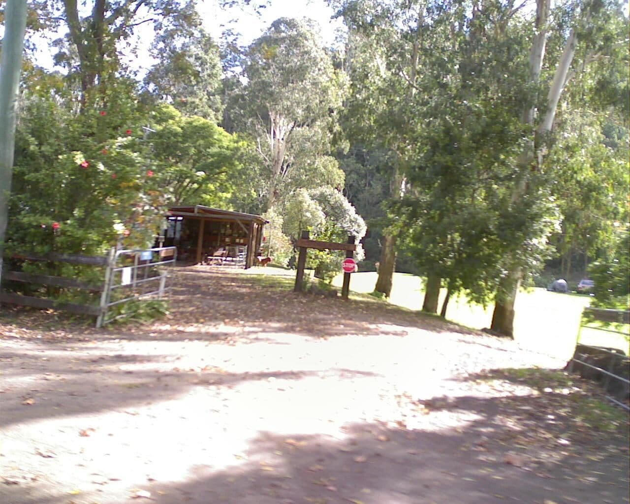 Street view near Rainforest Gateway Campground, Figtree — © bob3bob3 (CC BY-SA · Mapillary)