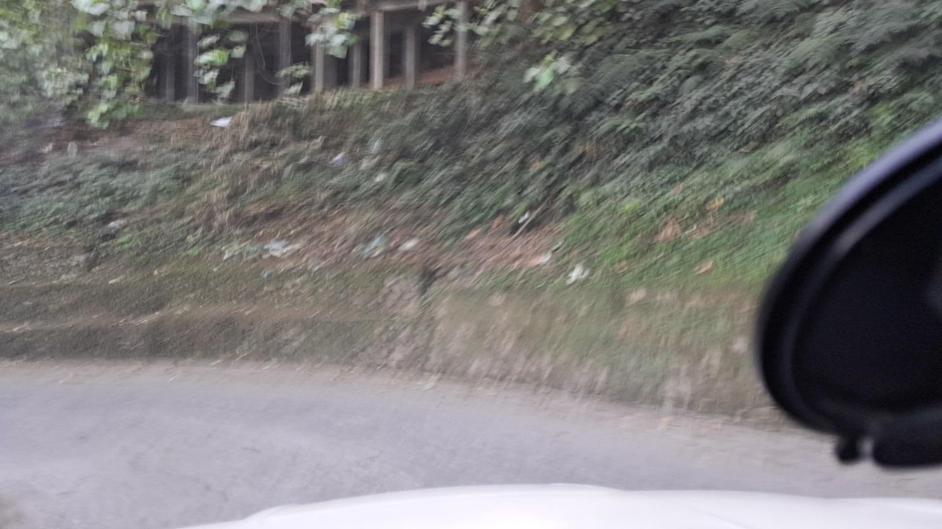 Street view near Hotel Elite, Mirik — © roadroid (CC BY-SA · Mapillary)