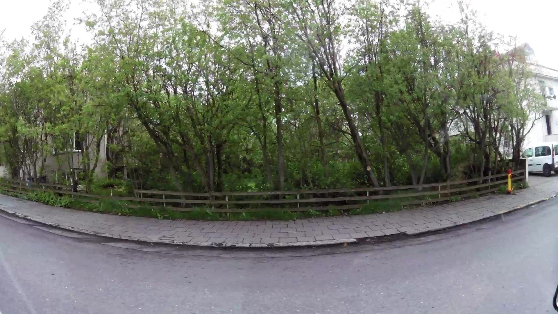 Street view near Númer 29, Reykjavík — © kaartcam (CC BY-SA · Mapillary)