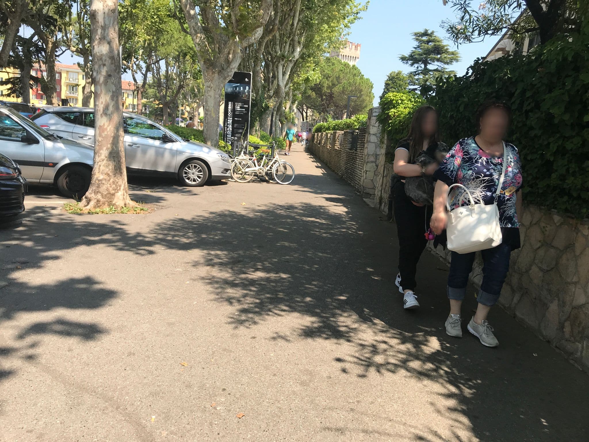 Street view near Hotel Fonte Boiola, Sirmione — © asturksever (CC BY-SA · Mapillary)