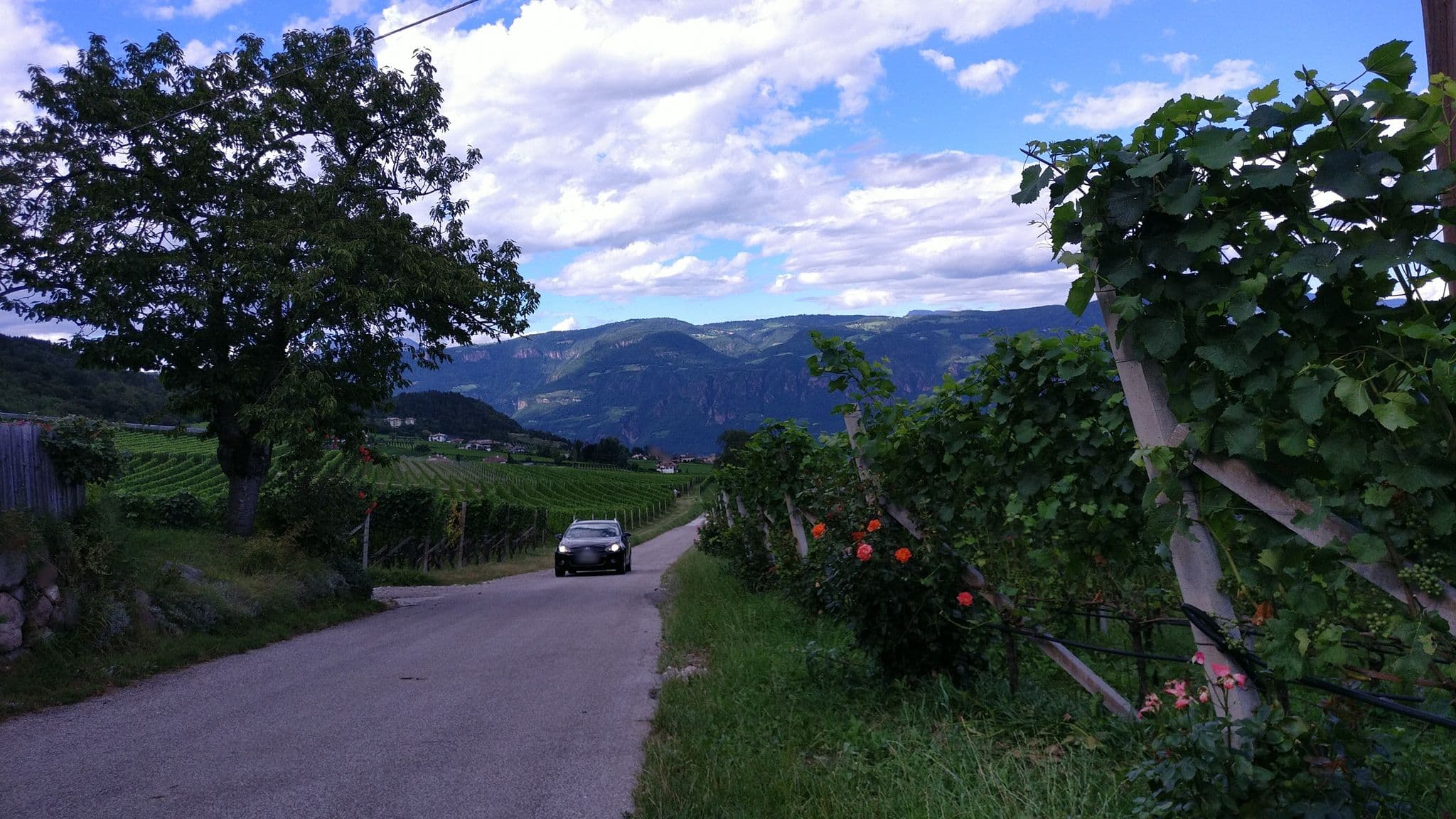 Street view near Zimmer Giuliani, Eppan — © tyr (CC BY-SA · Mapillary)