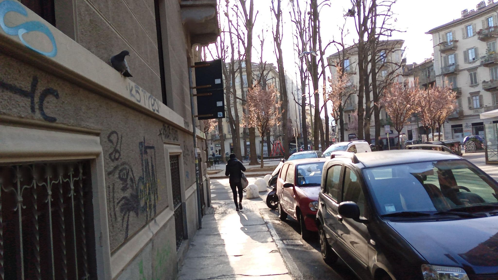 Street view near B&B Nicosia Pelù, Turin — © ffierm (CC BY-SA · Mapillary)