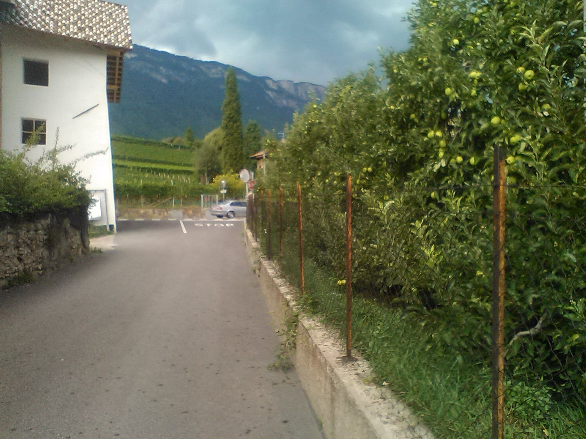 Street view near Pizzol Hof, Eppan — © tomi (CC BY-SA · Mapillary)