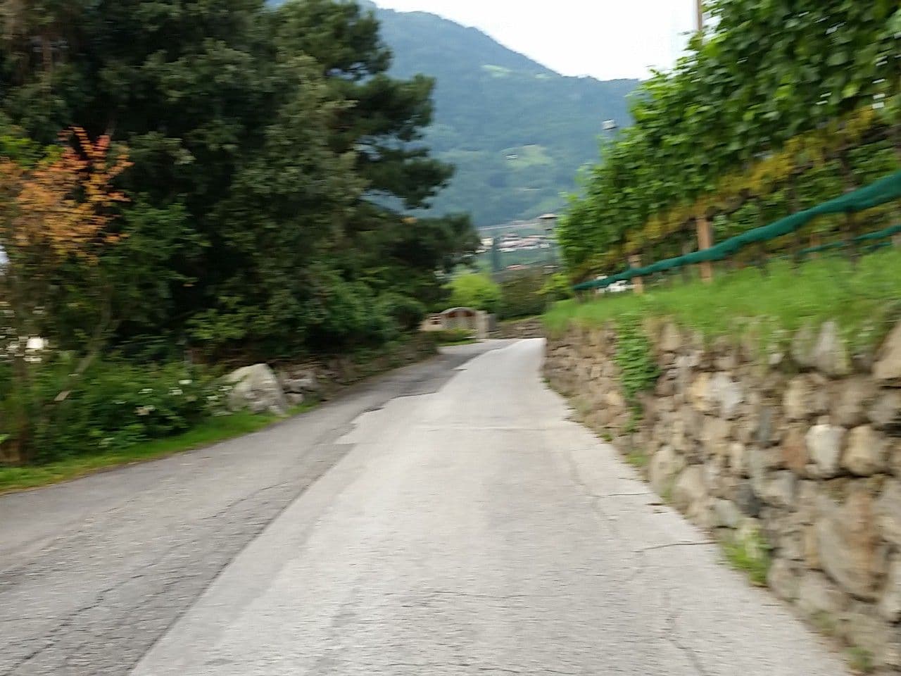 Street view near Panorama, Lagundo