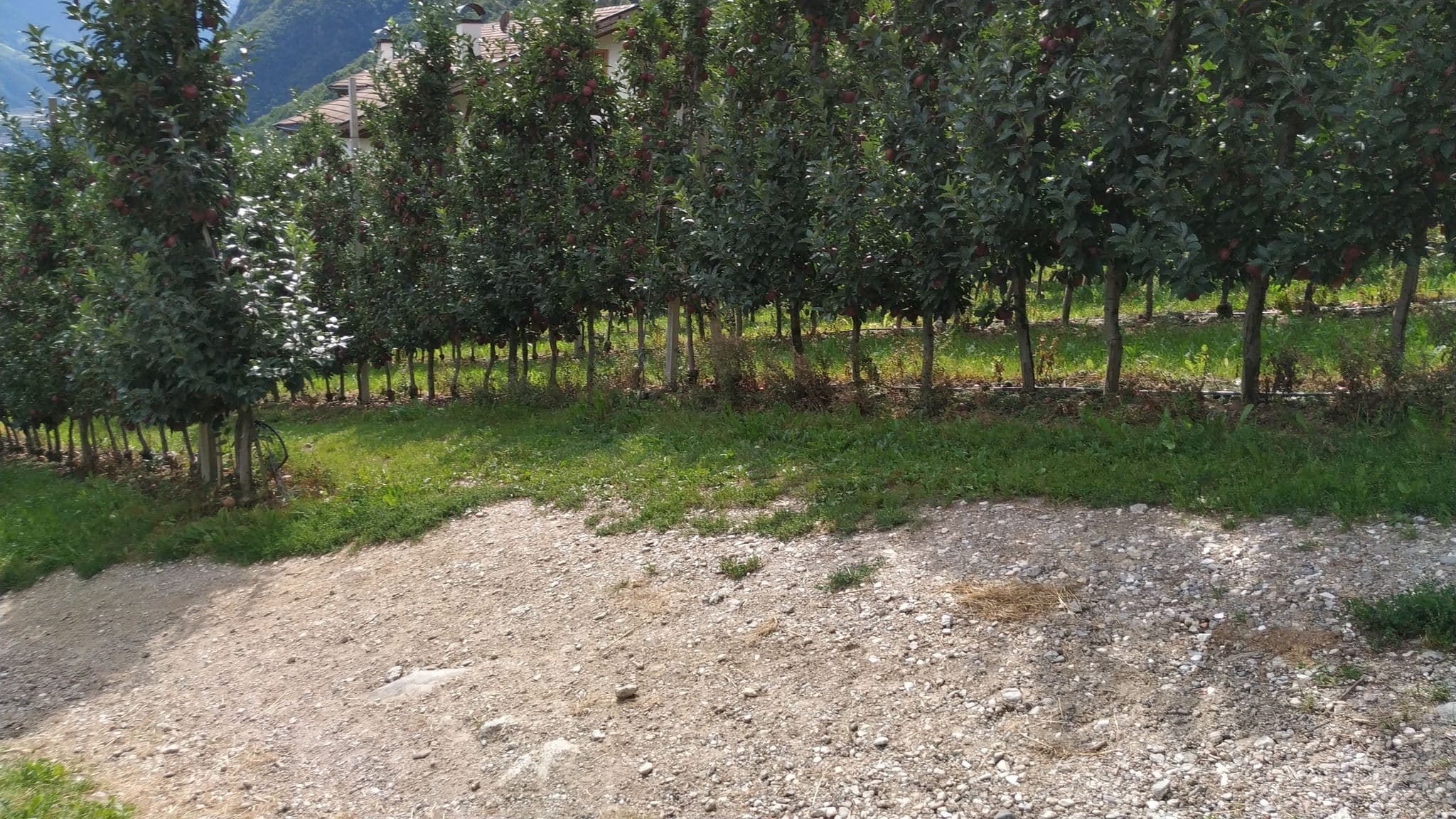Street view near Winklerhof FH + FeWo, Parcines — © mikki65 (CC BY-SA · Mapillary)