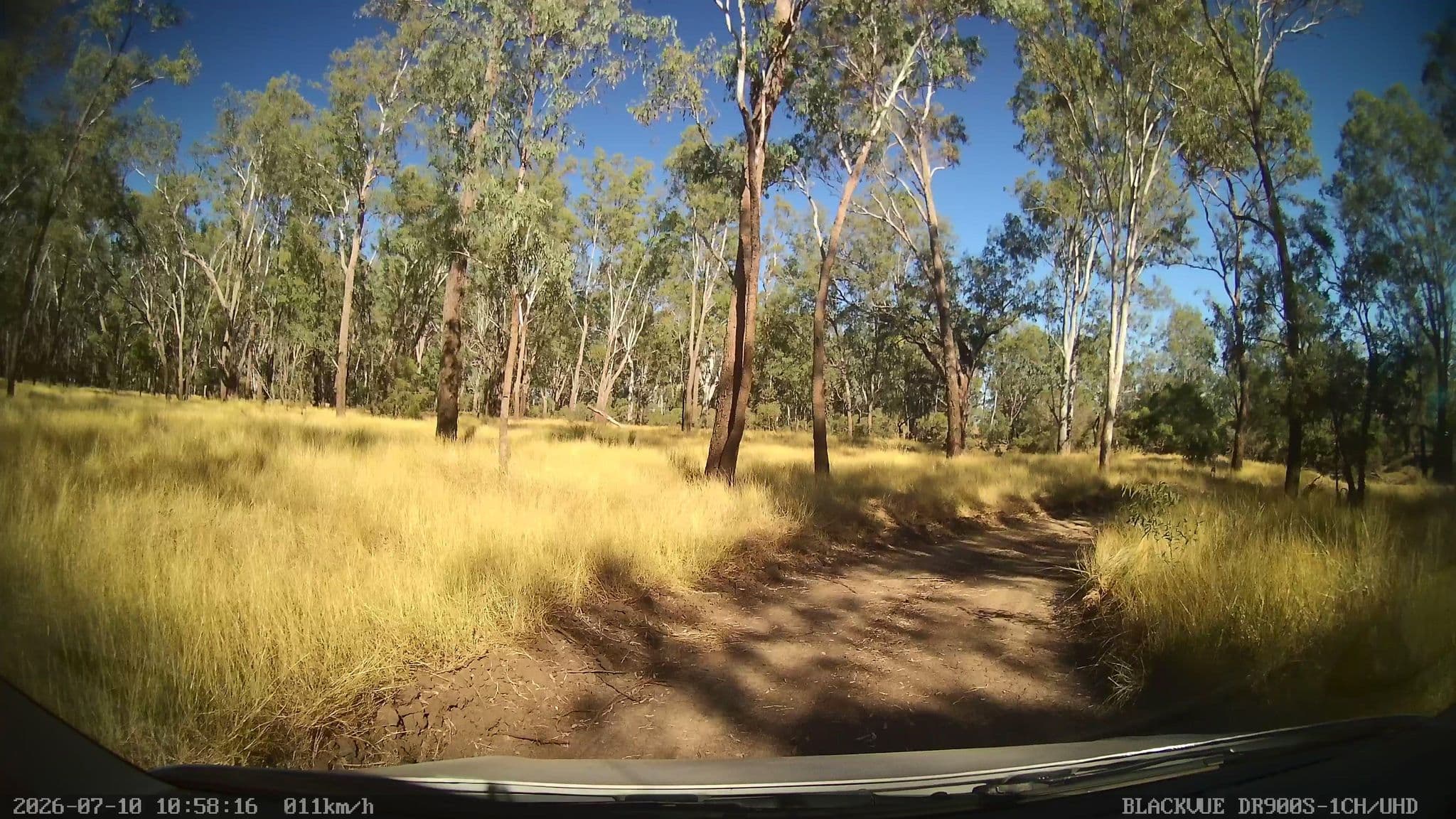 Street view near Don River, Biloela — © bob3bob3 (CC BY-SA · Mapillary)