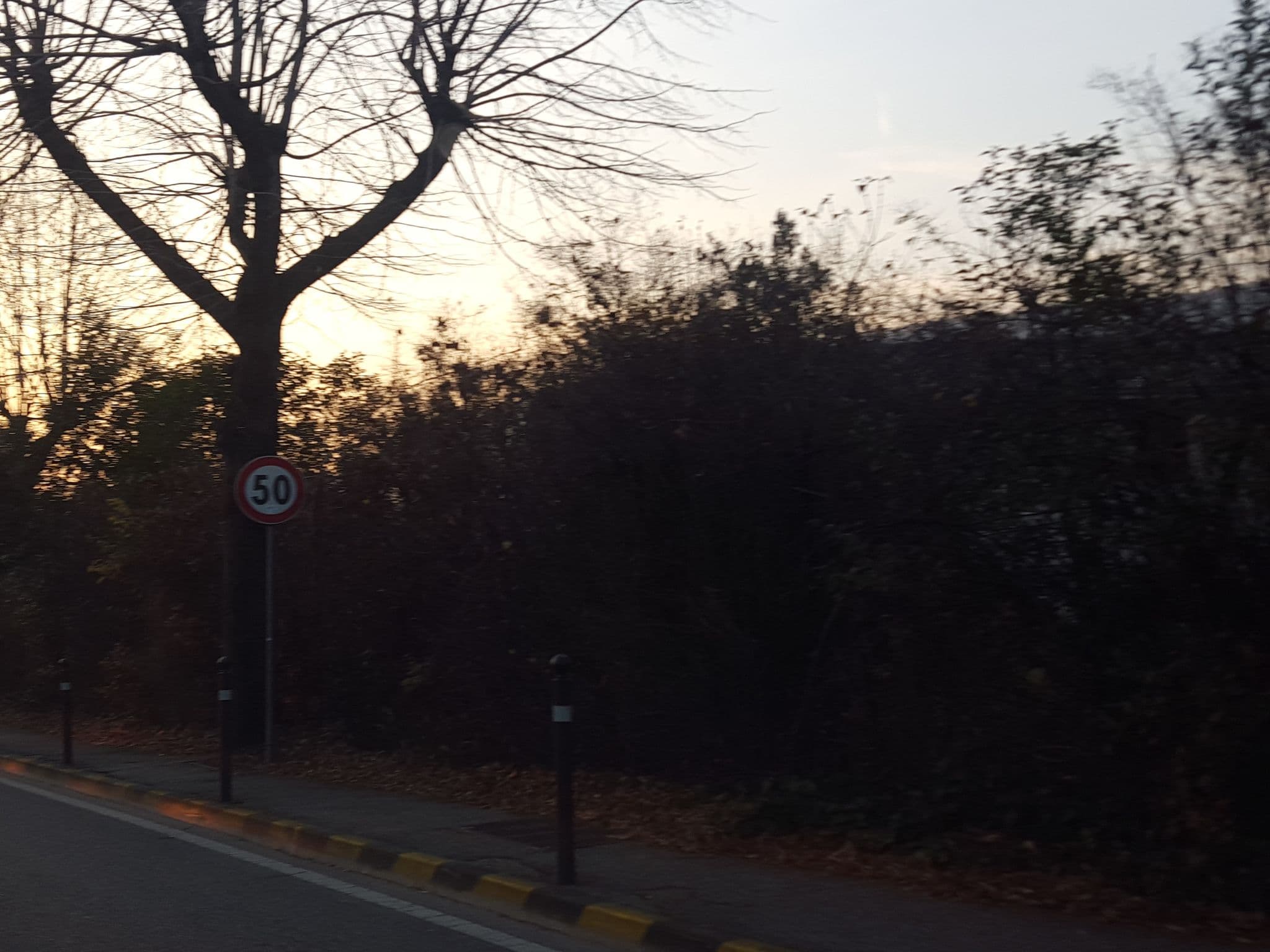 Street view near Residenza Olivo, Garda — © lucamenini (CC BY-SA · Mapillary)