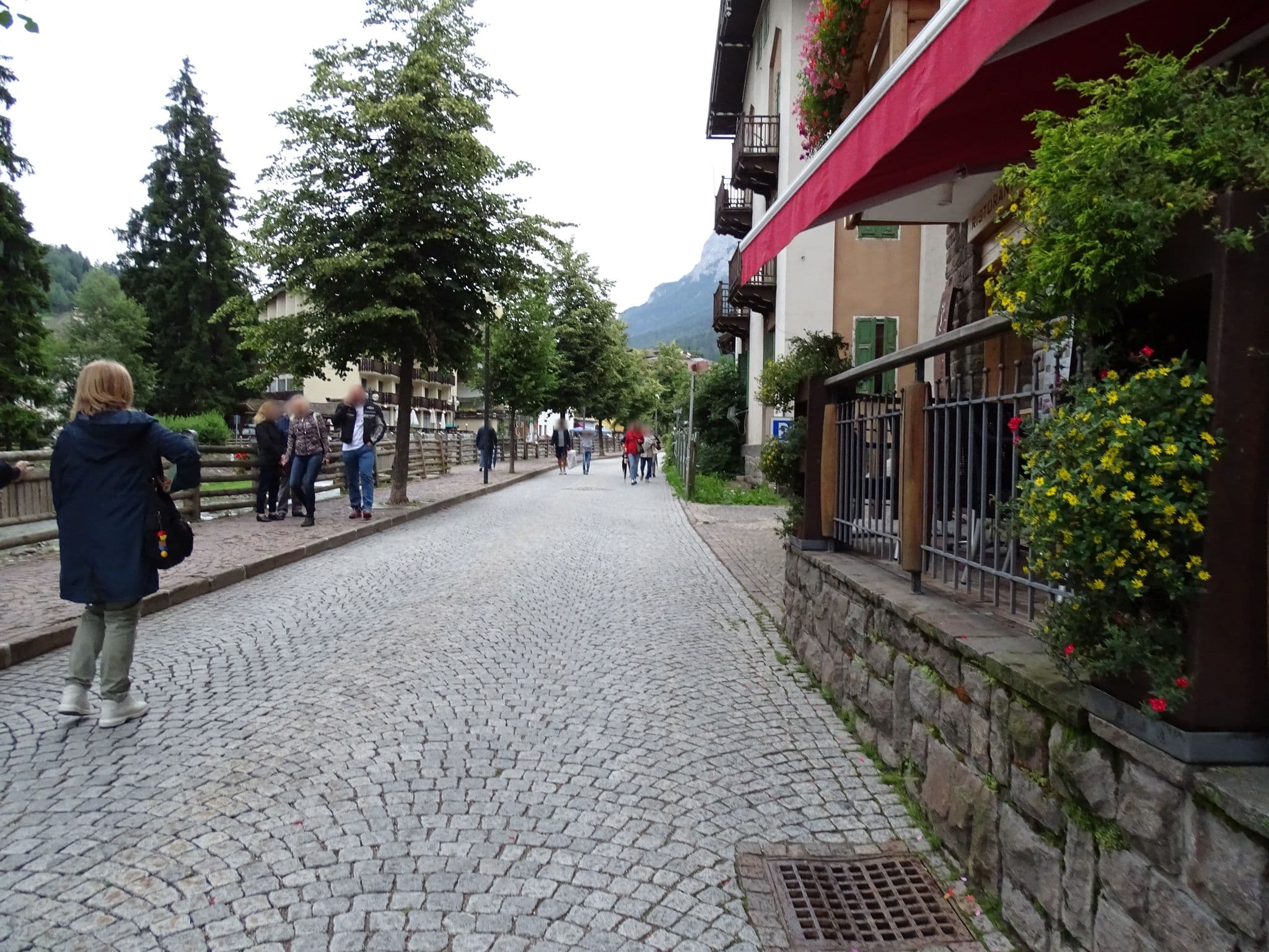 Street view near Sport hotel San Vigilio, Moena — © boskoyevsky (CC BY-SA · Mapillary)