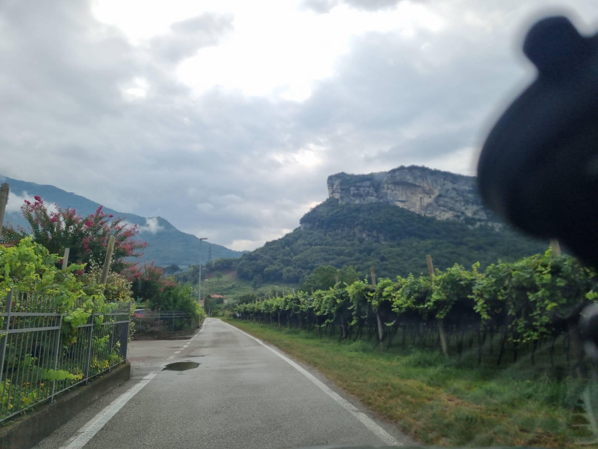 Street view near Agritur Giovanazzi, Arco — © dsmm (CC BY-SA · Mapillary)