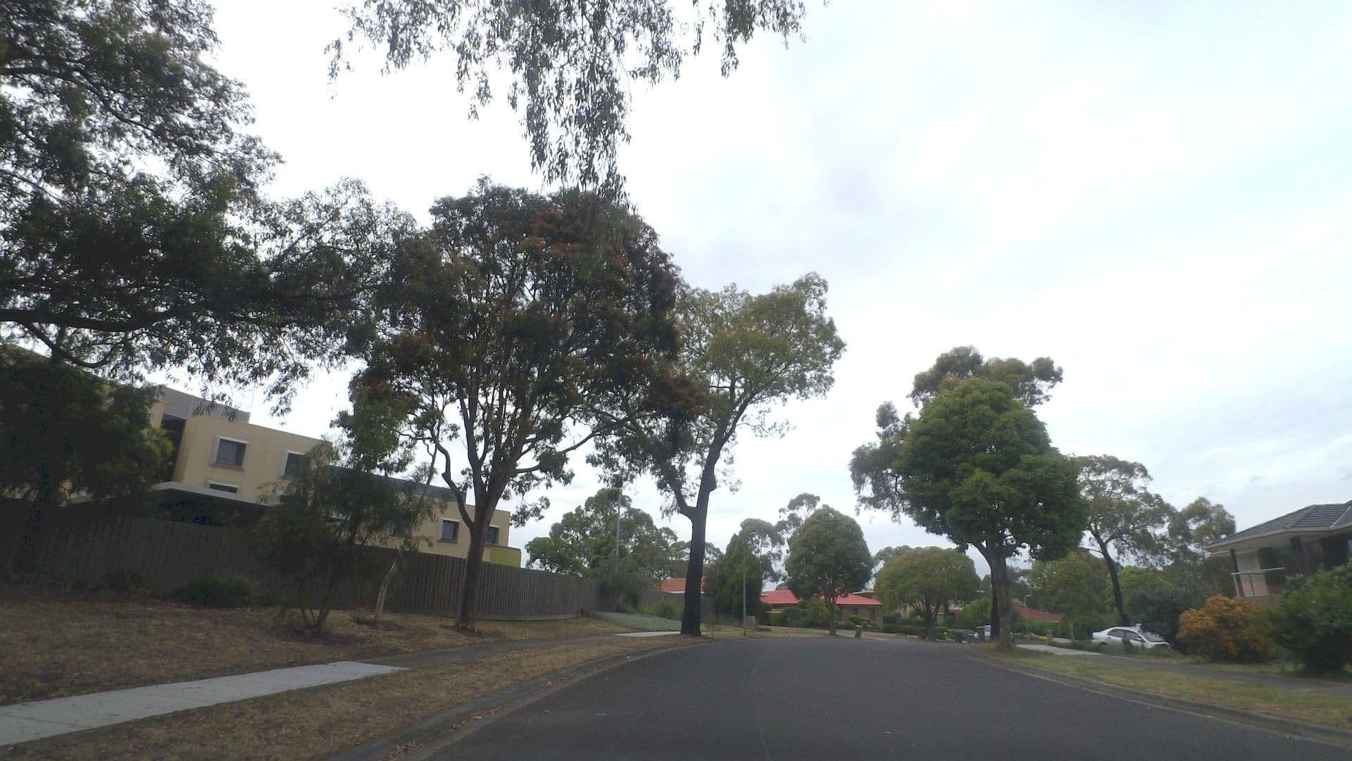 Street view near Golden Pebble, Heathmont — © mander (CC BY-SA · Mapillary)