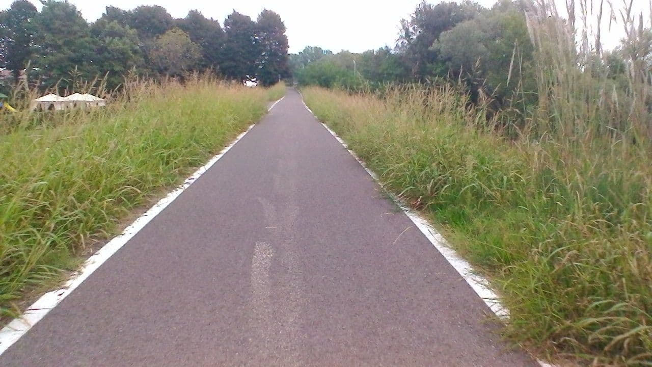 Street view near Tenura Albertini, Zevio — © vrmap (CC BY-SA · Mapillary)