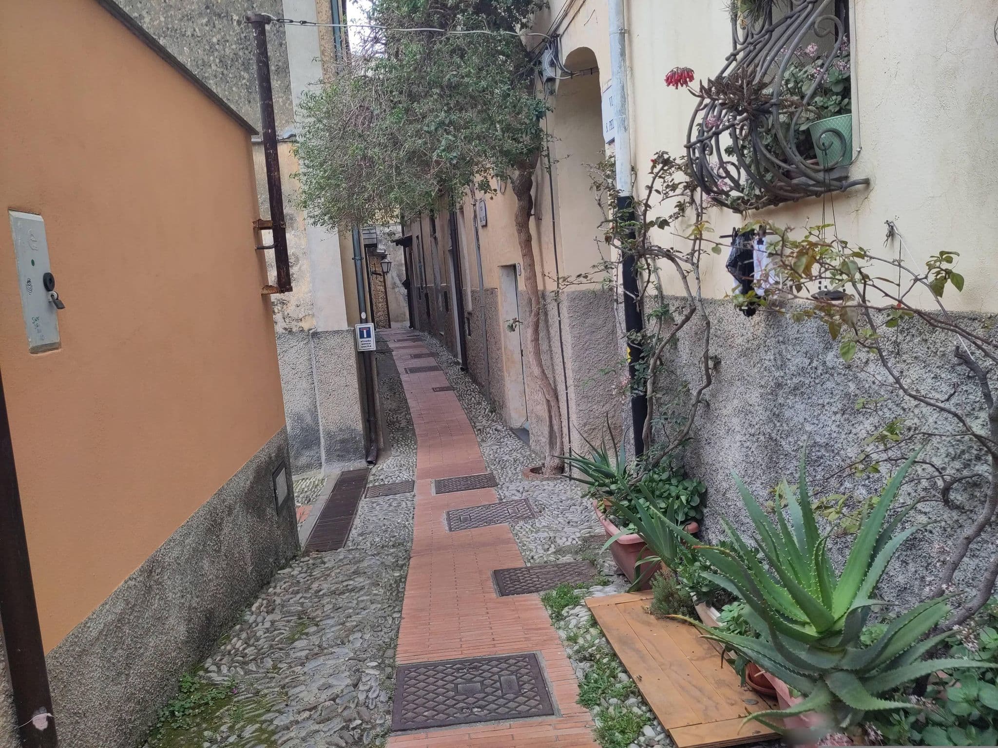 Street view near Le notti mediterranee, Cervo — © marcuscalabresus (CC BY-SA · Mapillary)
