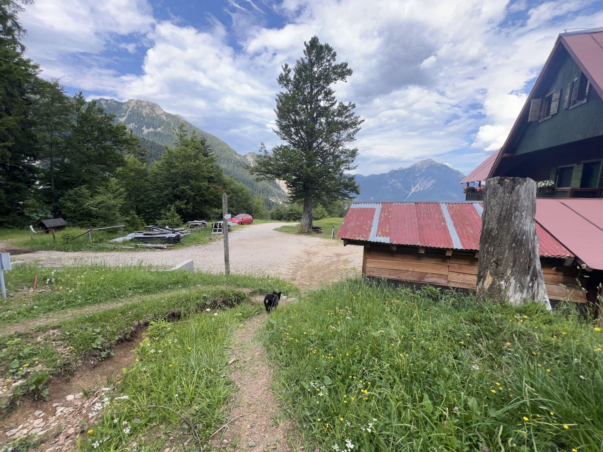 Street view near Rifugio Fratelli Grego, Tarvisio — © igorzo (CC BY-SA · Mapillary)