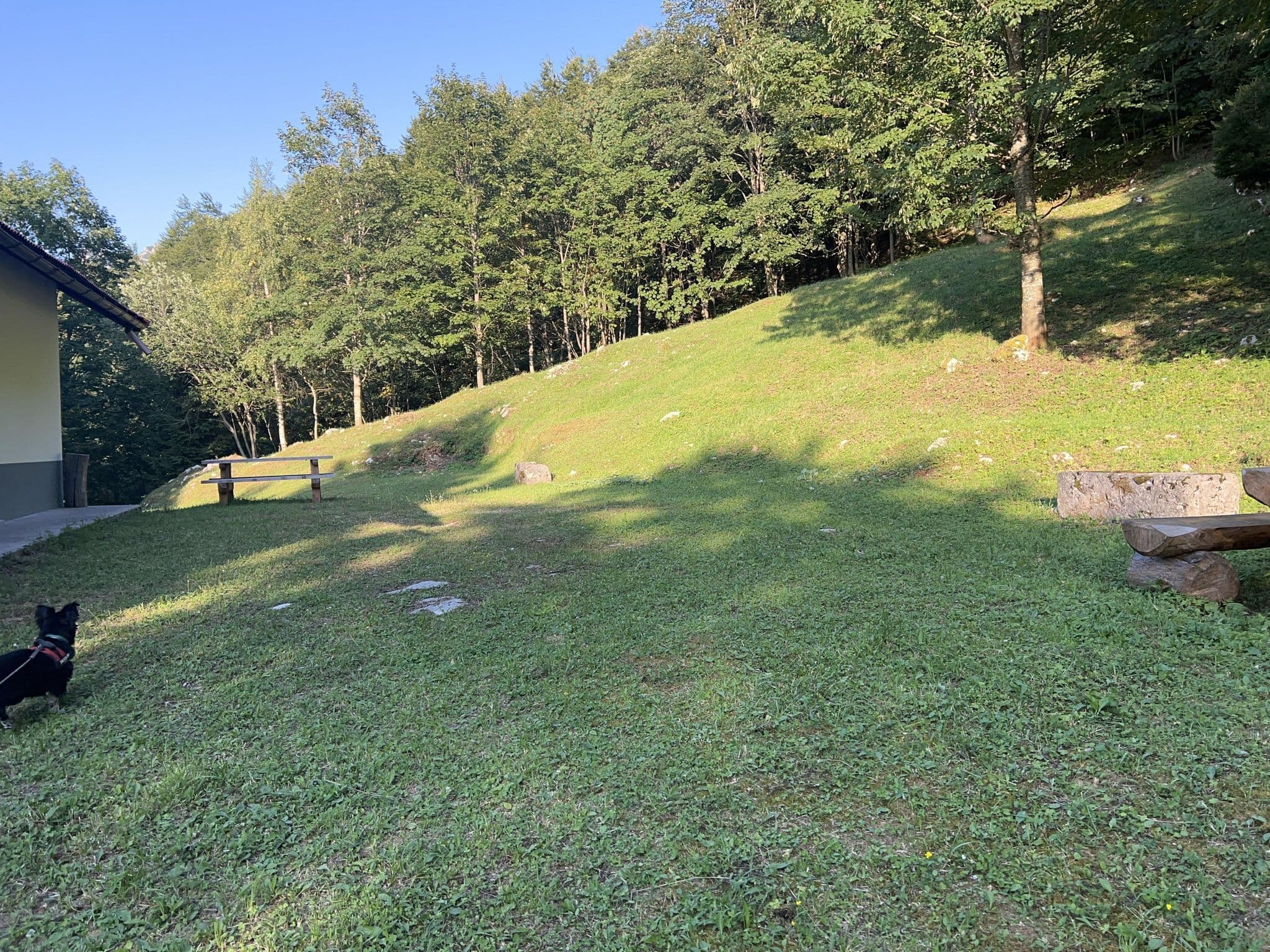 Street view near Rifugio Forestale Casera Feletta, Enemonzo-Quinis — © igorzo (CC BY-SA · Mapillary)