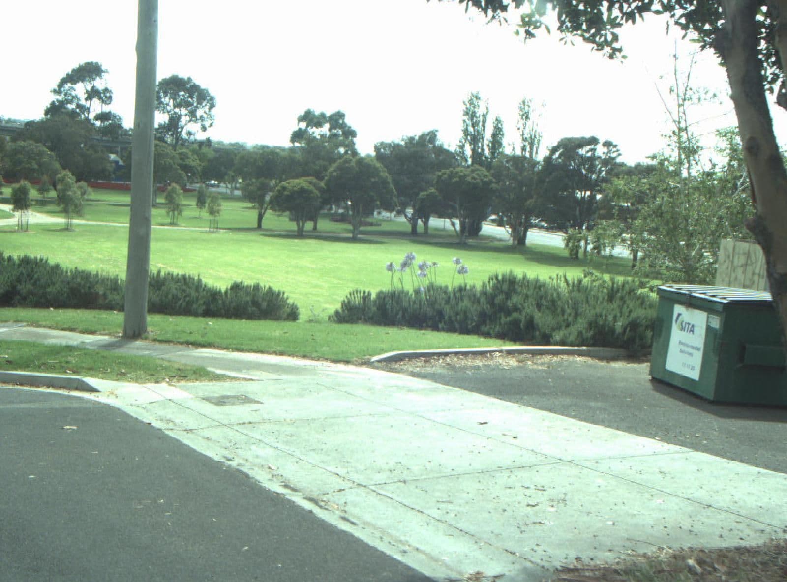 Street view near Parkside Motel, Belmont — © cogg (CC BY-SA · Mapillary)