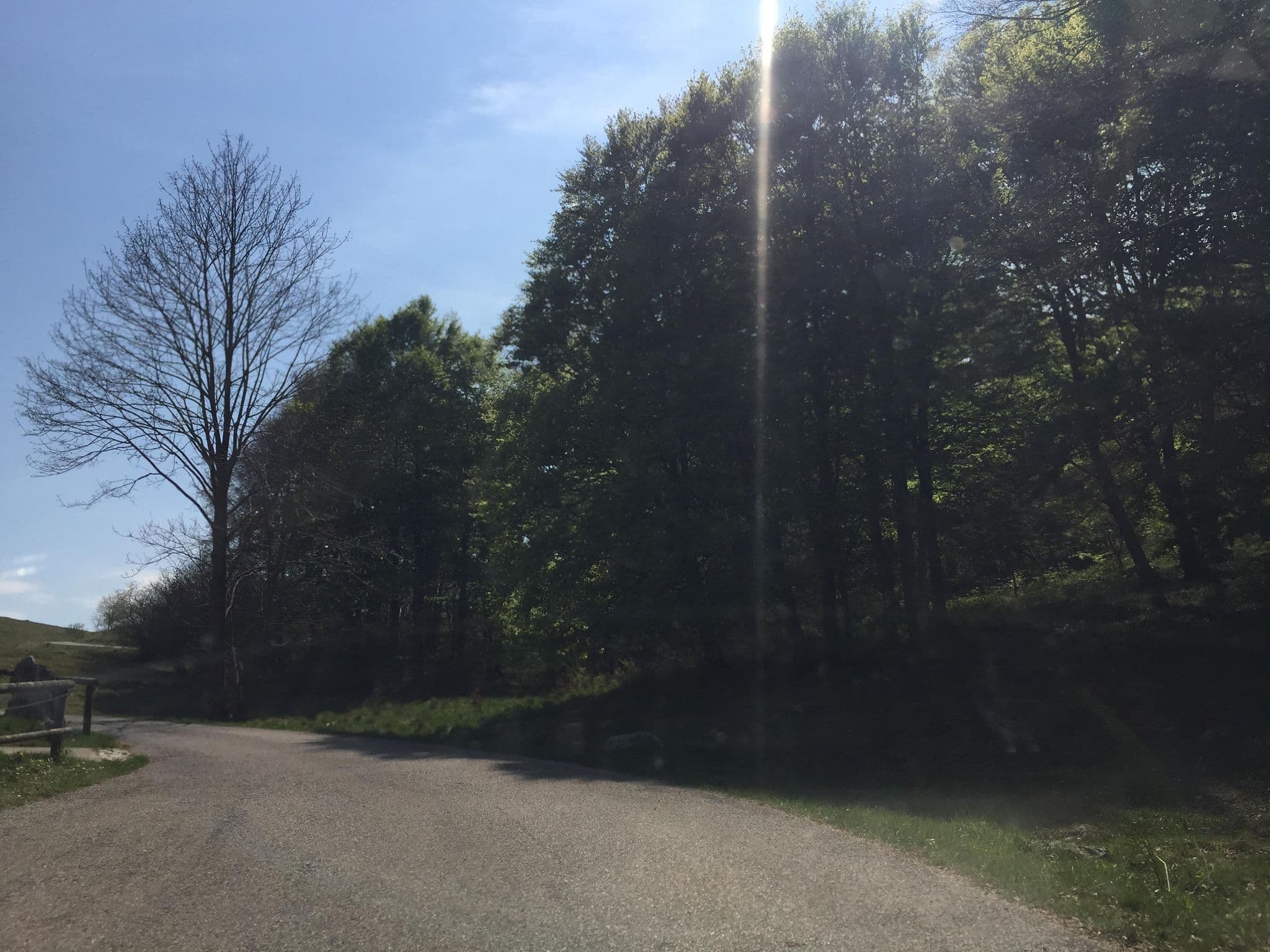 Street view near Rifugio Valinis, Meduno — © igorzo (CC BY-SA · Mapillary)